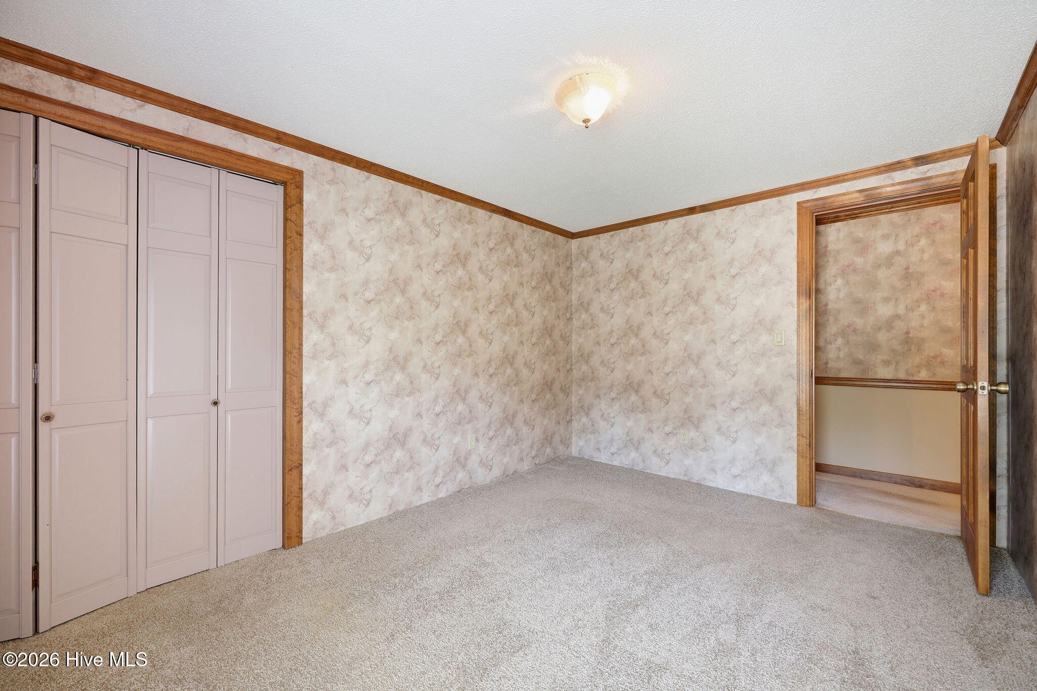 2831 Whichards Beach Road Property Photo 37