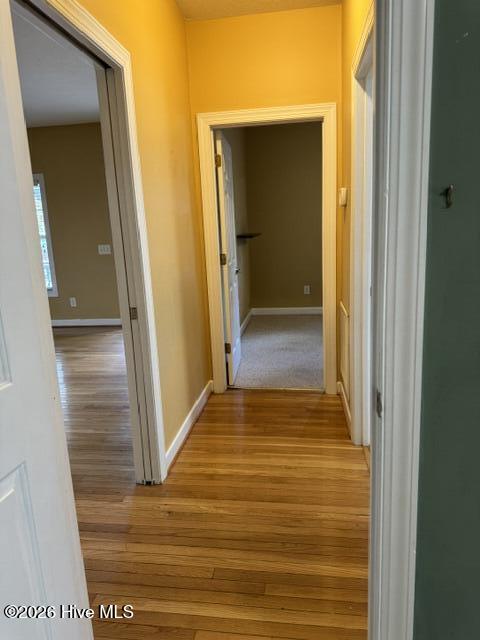 111 Michael Lane Property Photo 29