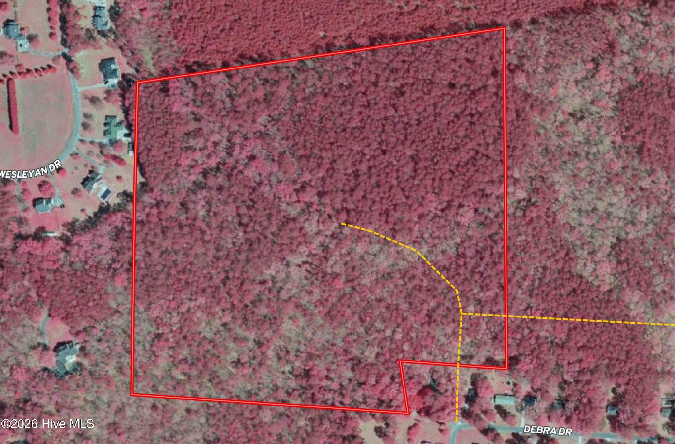 Tbd Donna Drive Property Photo 4