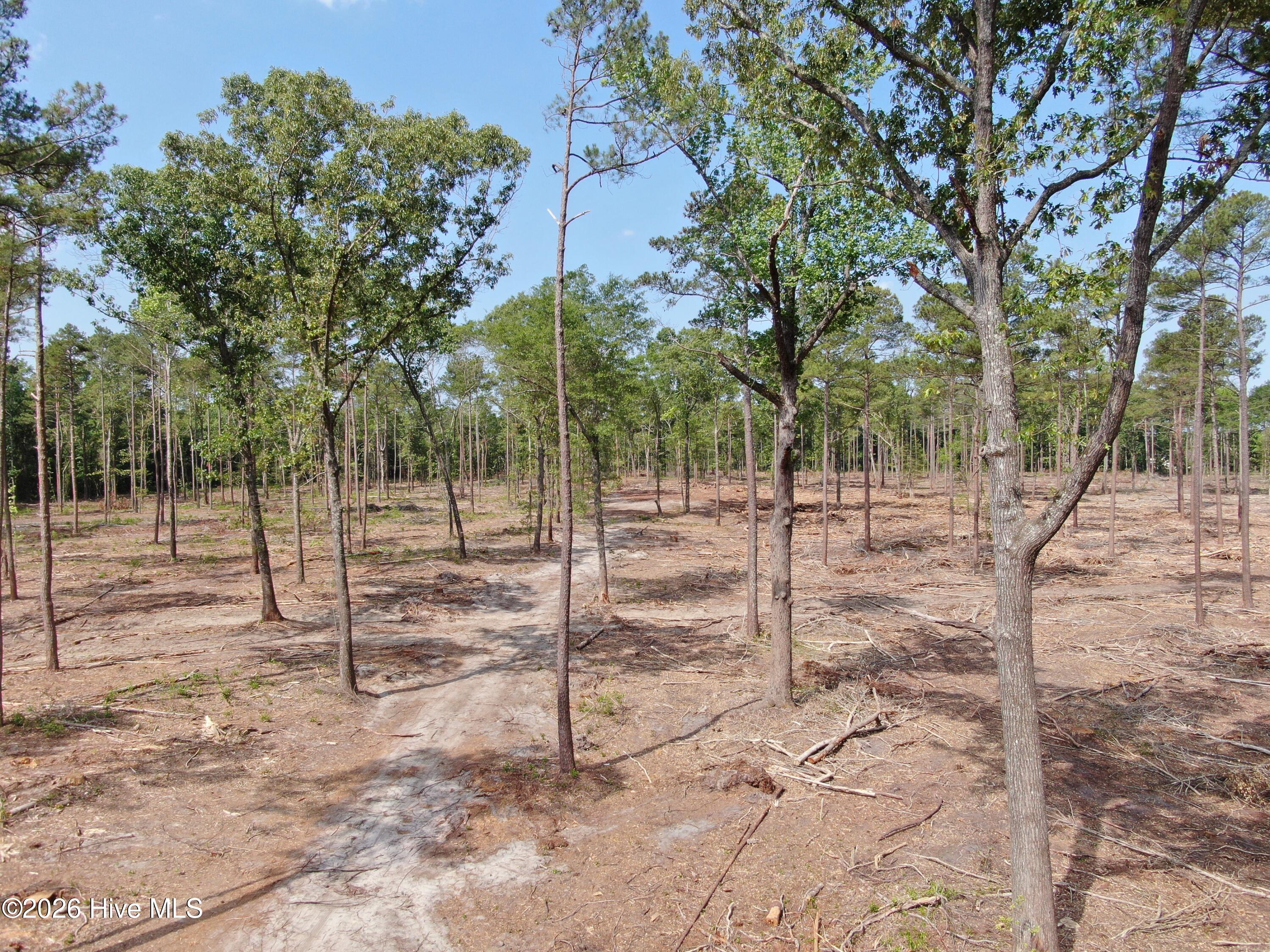 Tbd Donna Drive Property Photo 14