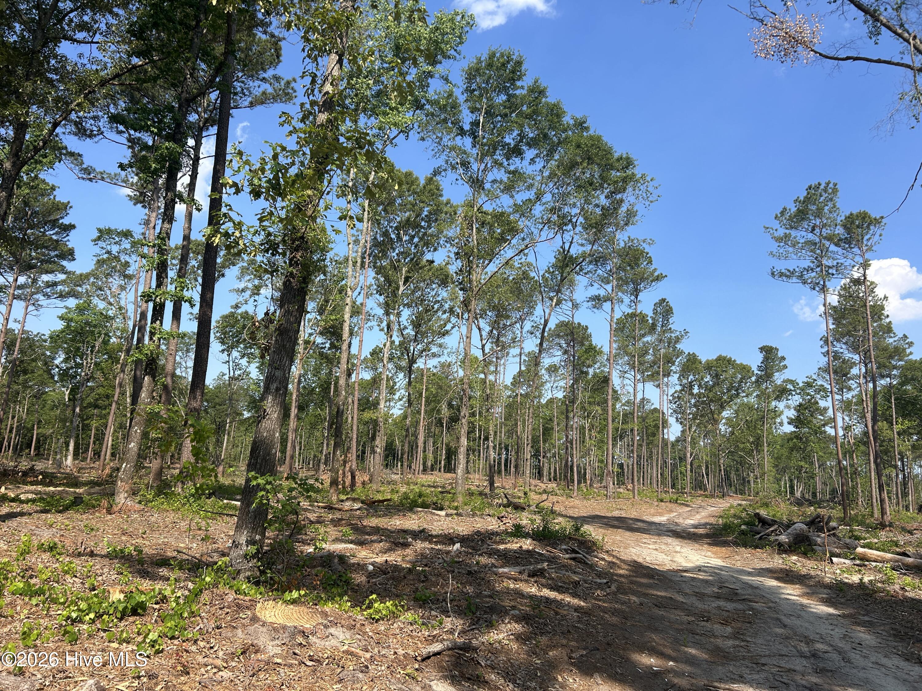 Tbd Donna Drive Property Photo 15
