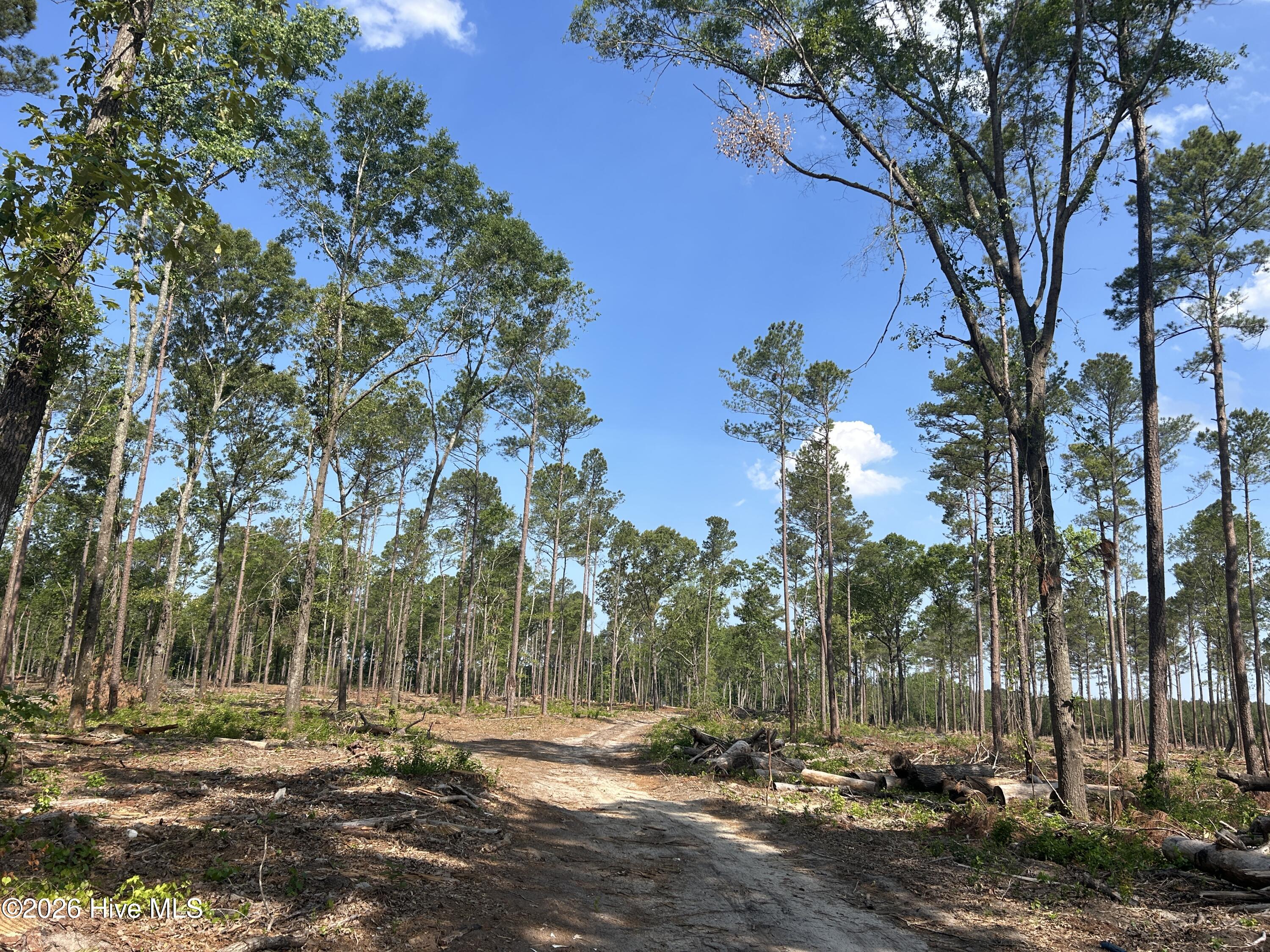 Tbd Donna Drive Property Photo 16