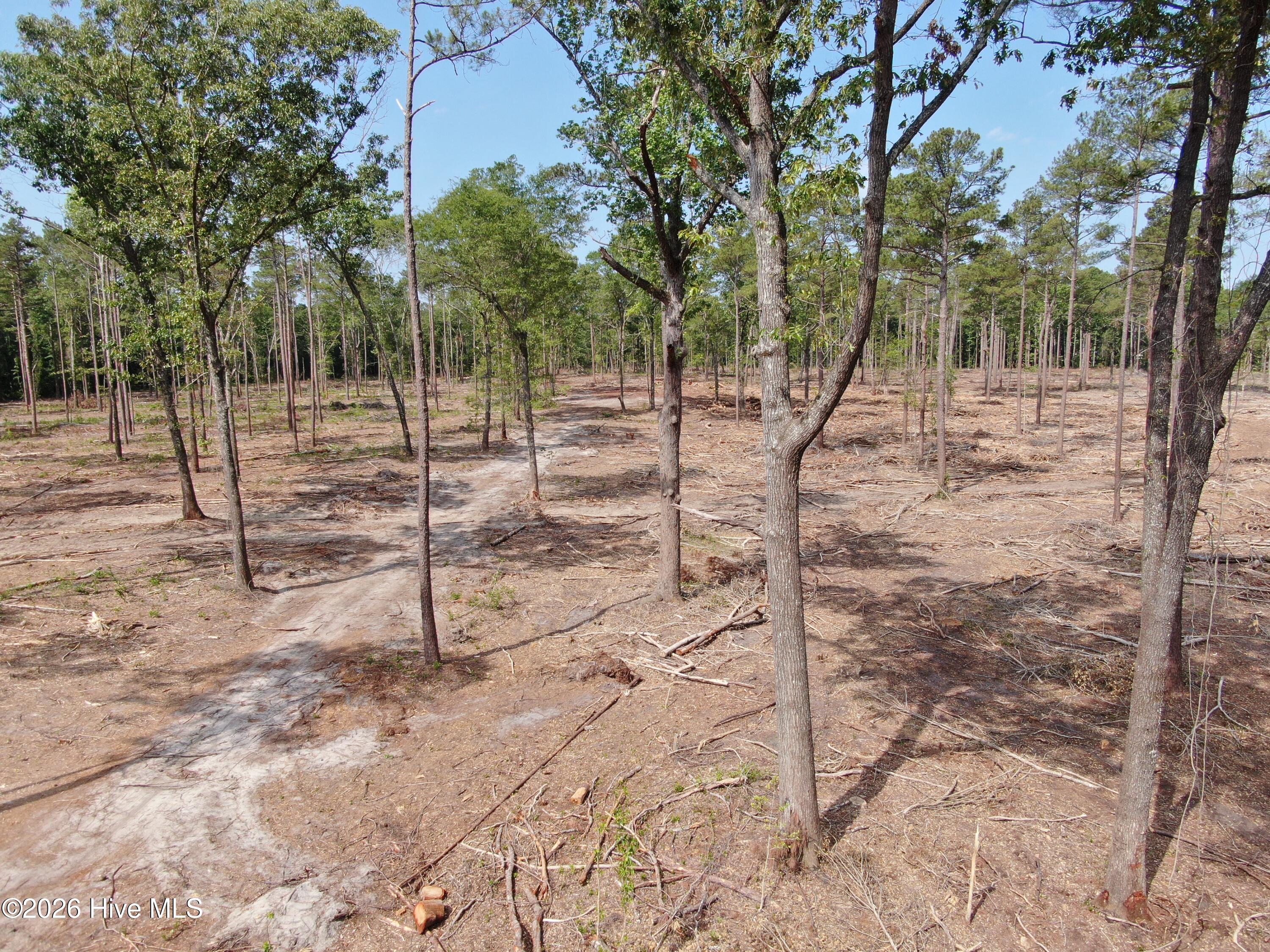 Tbd Donna Drive Property Photo 5