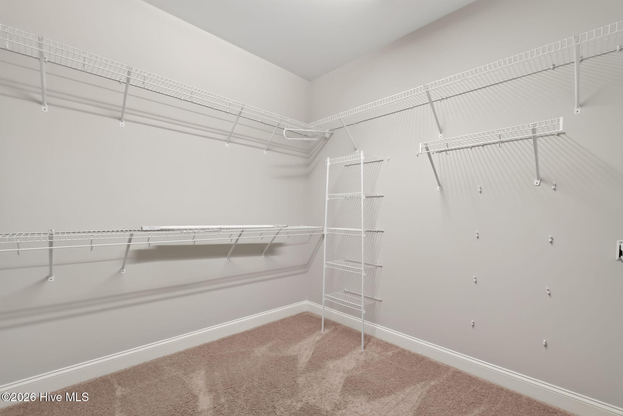 107 Smithsanders Court Property Photo 27