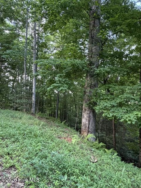 Lot 59 Quiet Mountain Trail