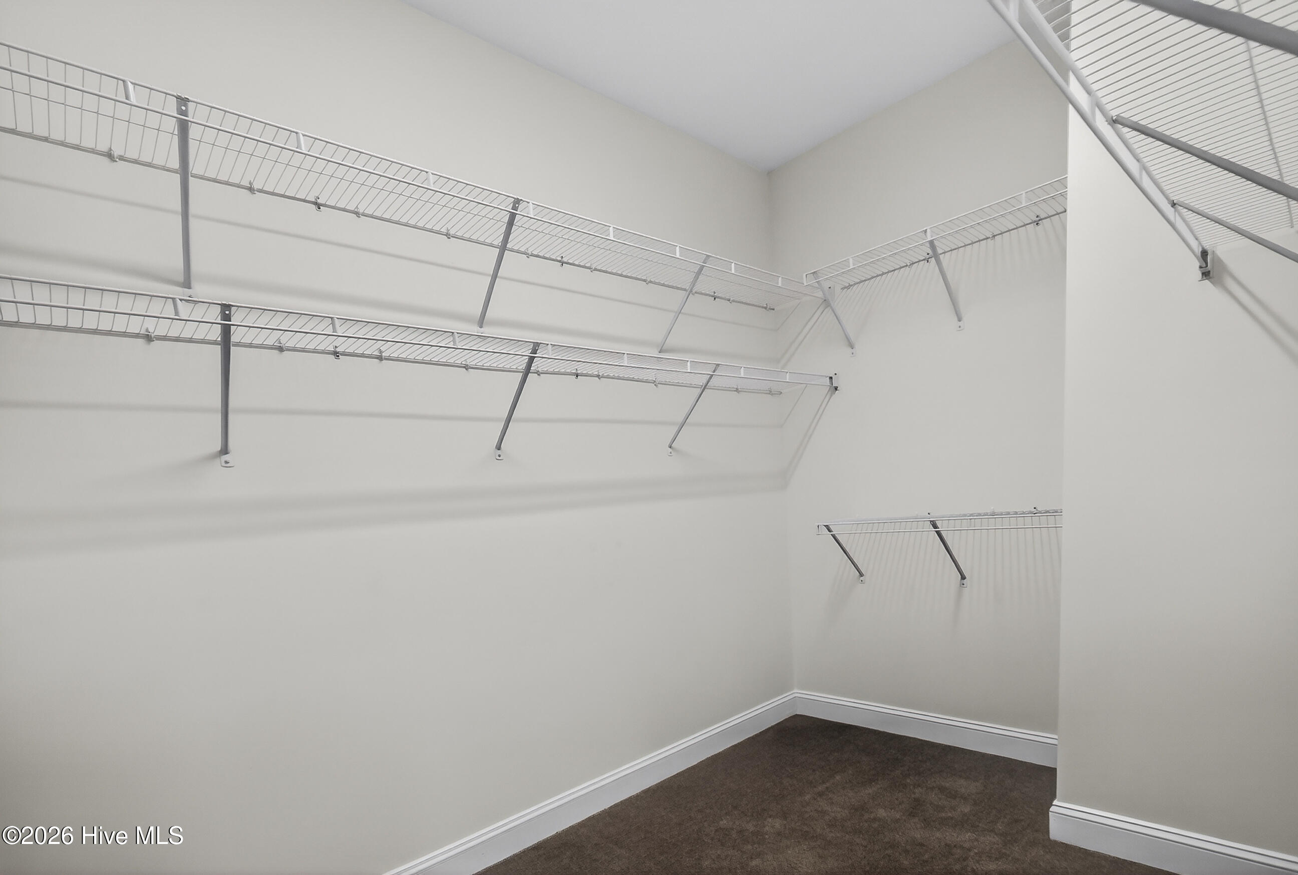 2317 Jasper Forest Trail Property Photo 28