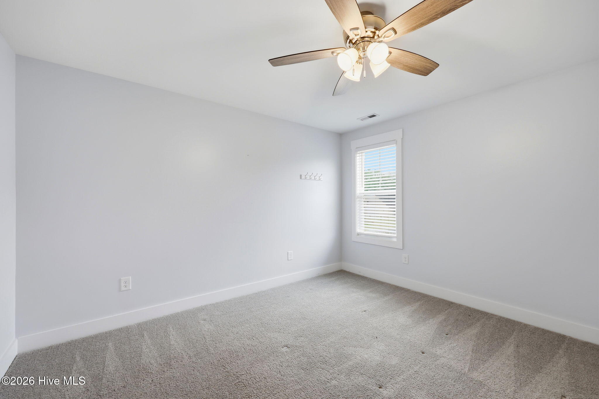 101 Woodford Lane Property Photo 29