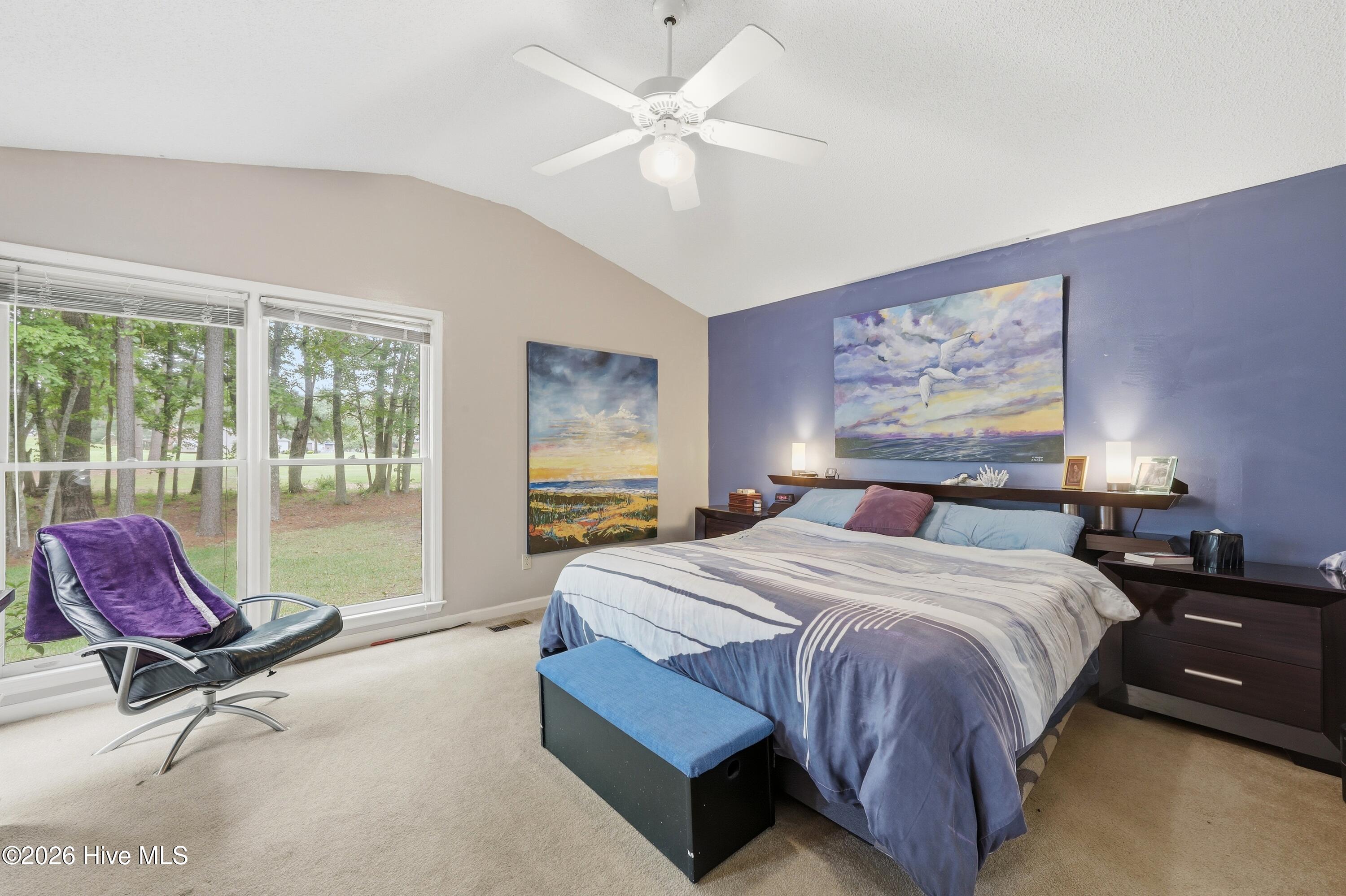 6015 Club House Drive Property Photo 17
