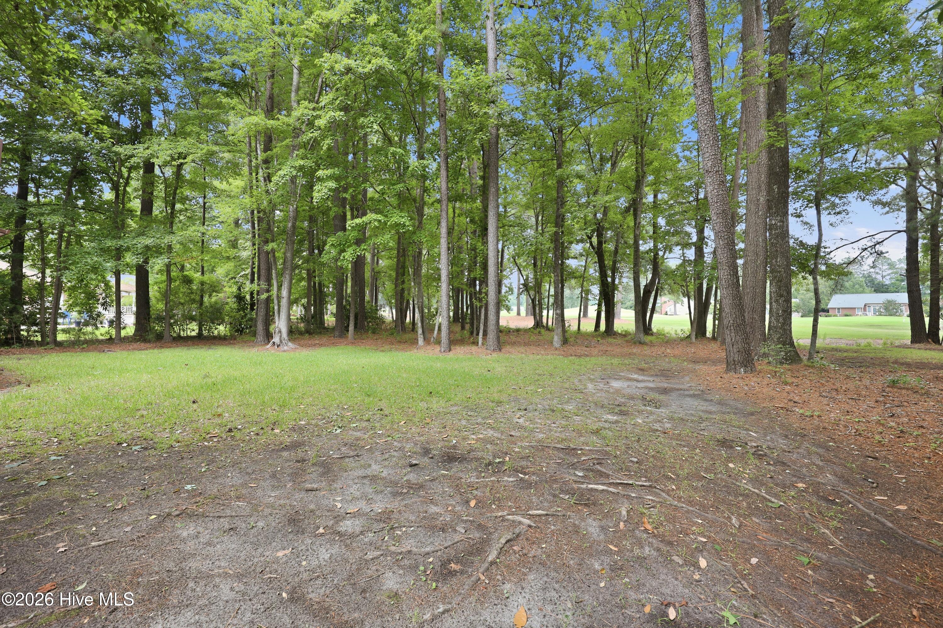 6015 Club House Drive Property Photo 37