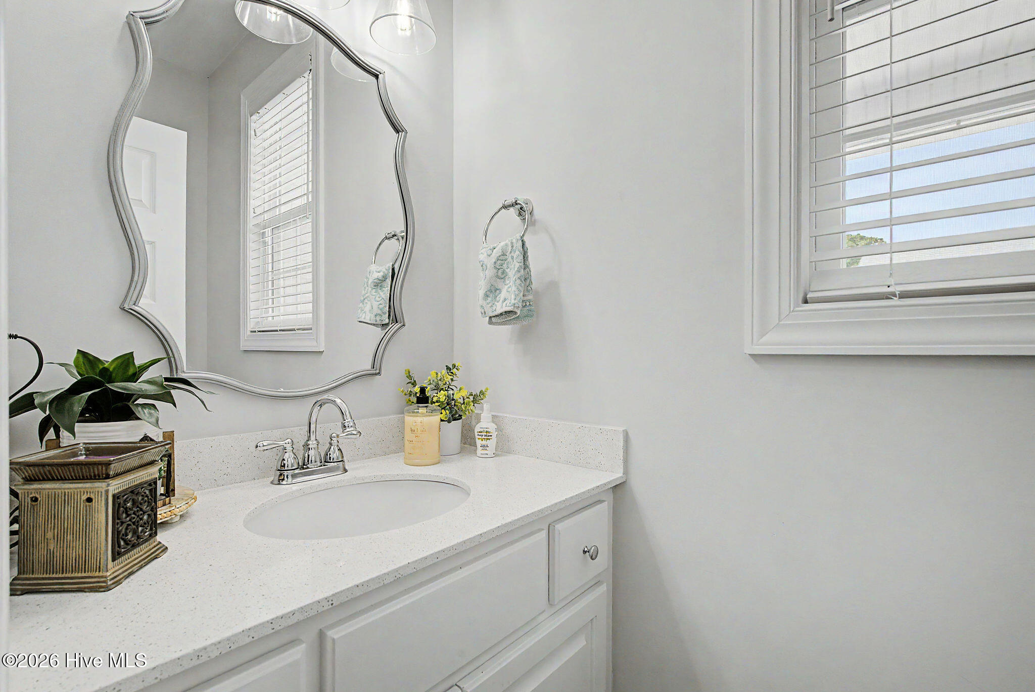 313 W Northern Boulevard Property Photo 9