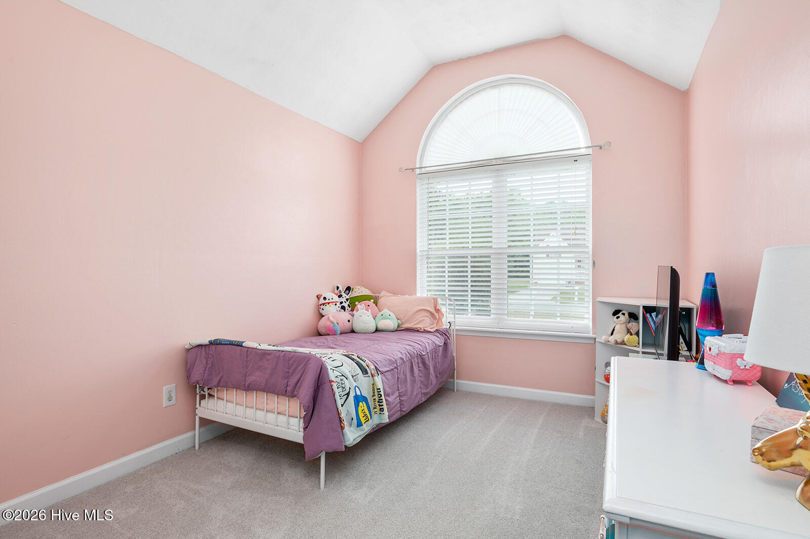 107 Chickadee Street Property Photo 26
