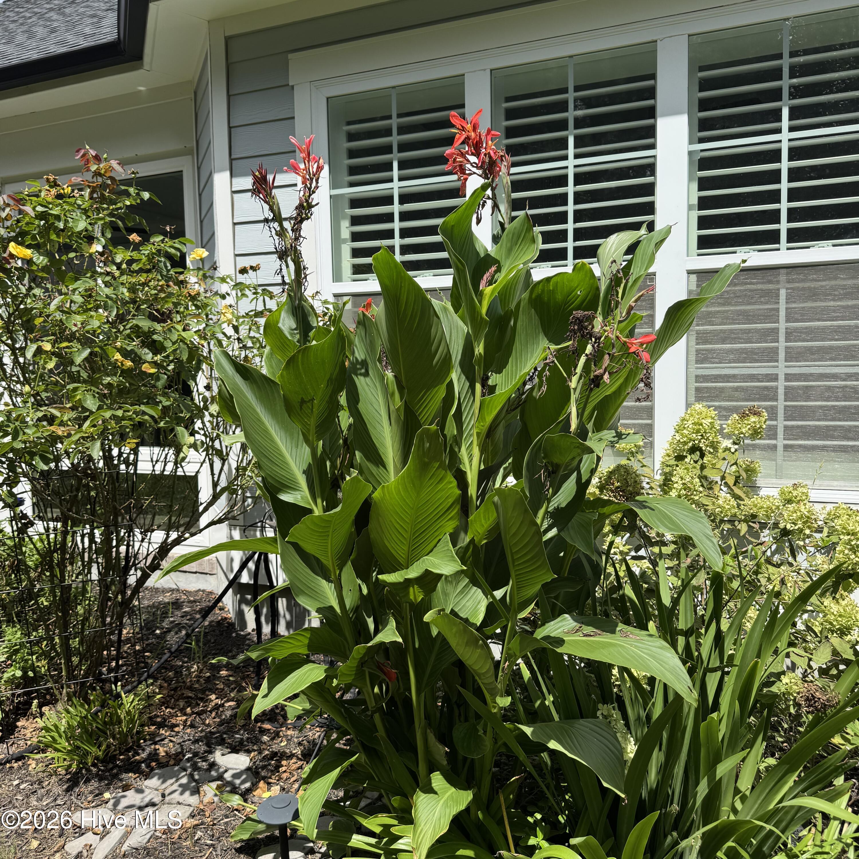 6145 River Breeze Way Property Photo 50