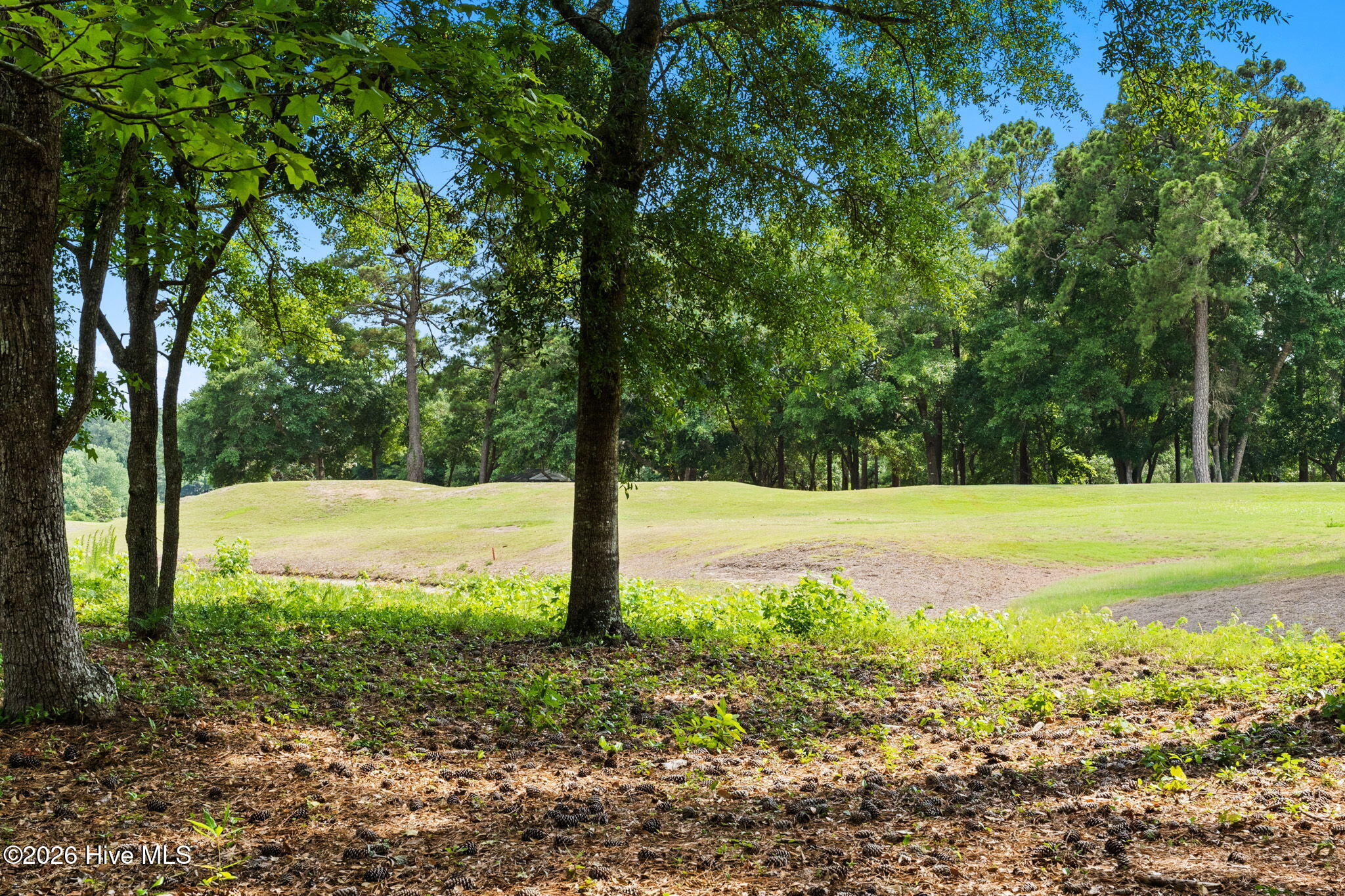 1601 Colonist Square Sw Property Photo 28