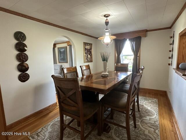 159 Seymour Drive Property Photo 21