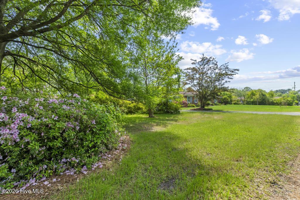 116 Oak Street Property Photo 54