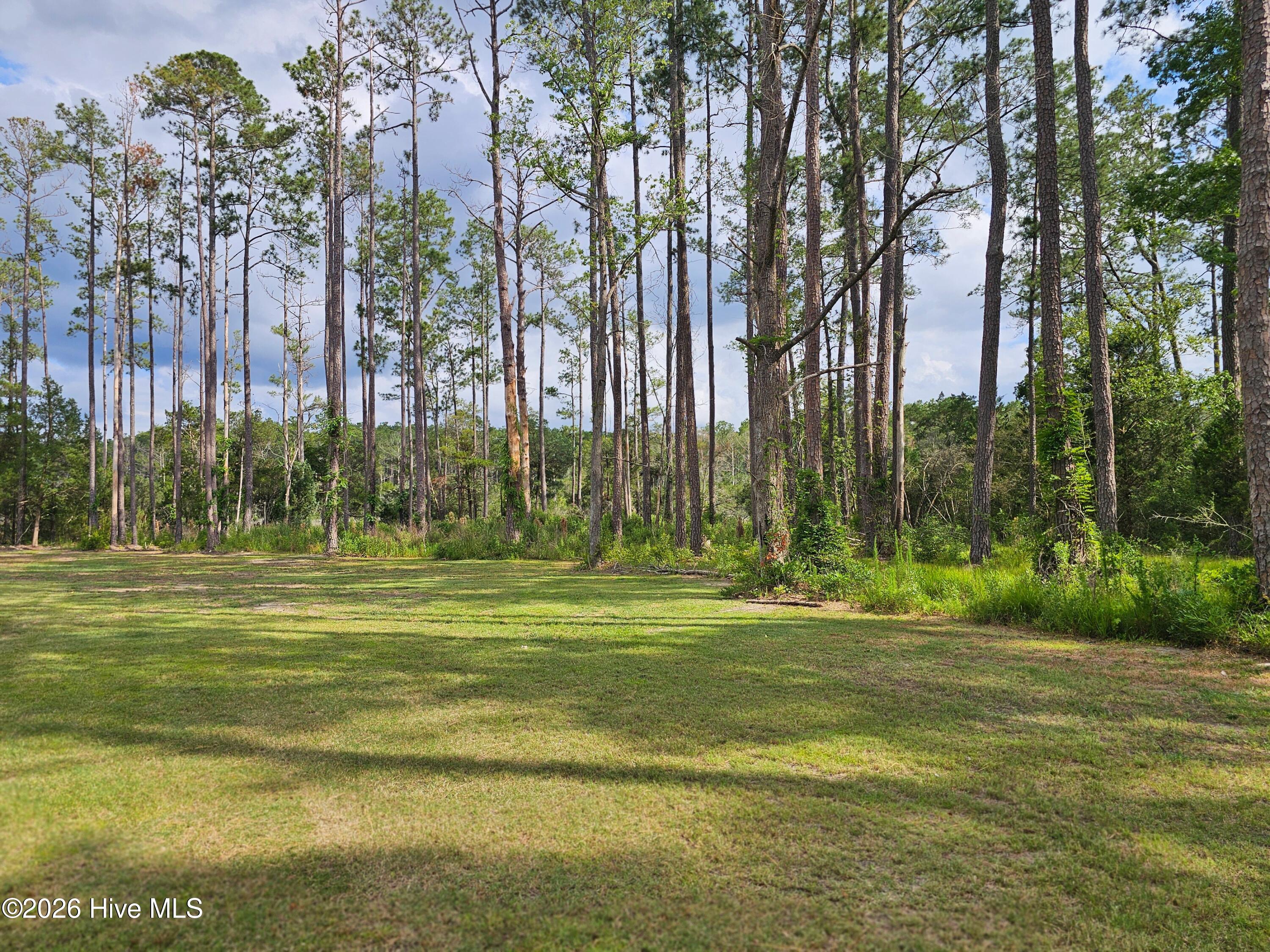 10586 Nc-304 Hwy Property Photo 33