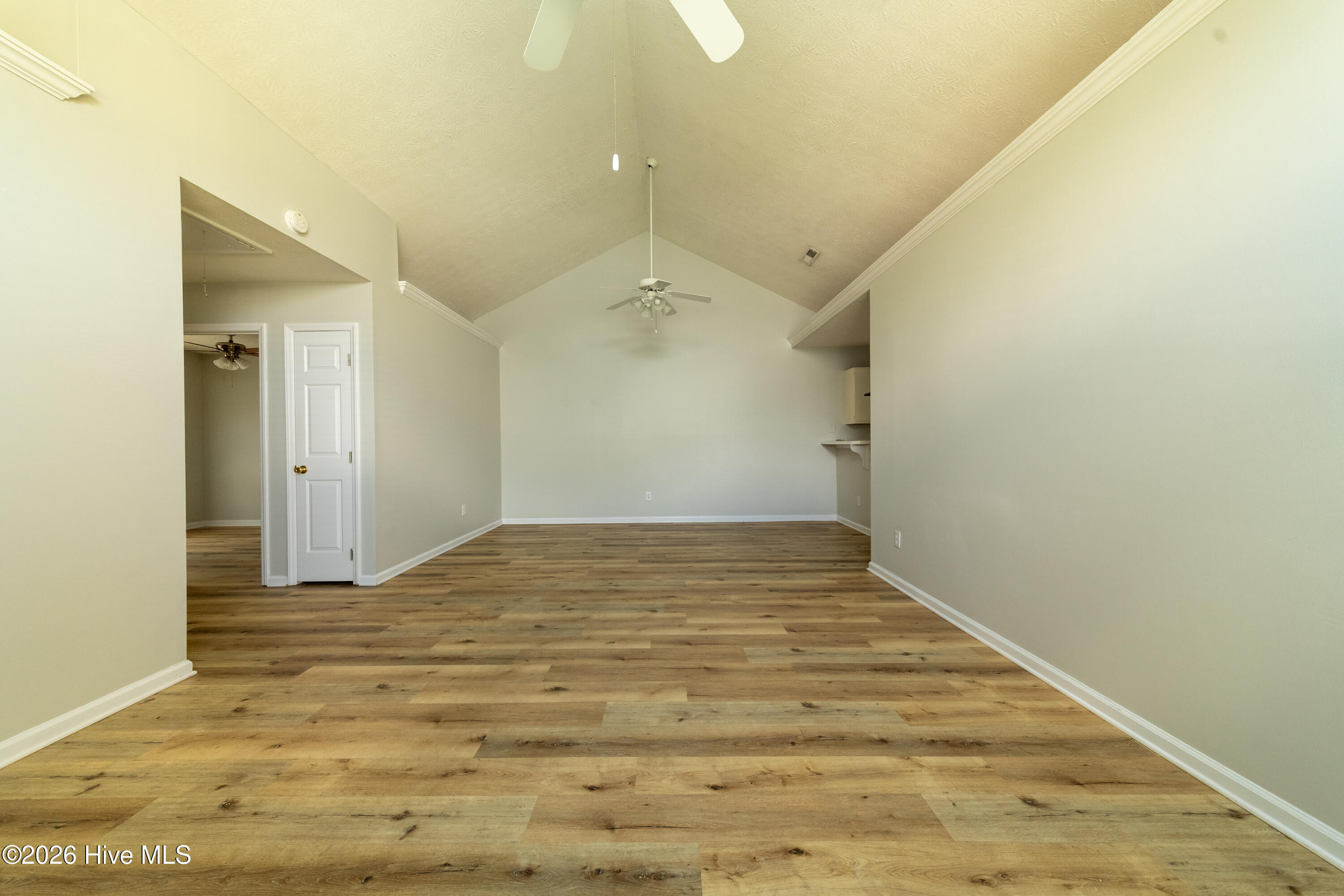 4311 Jasmine Cove Way Property Photo 4