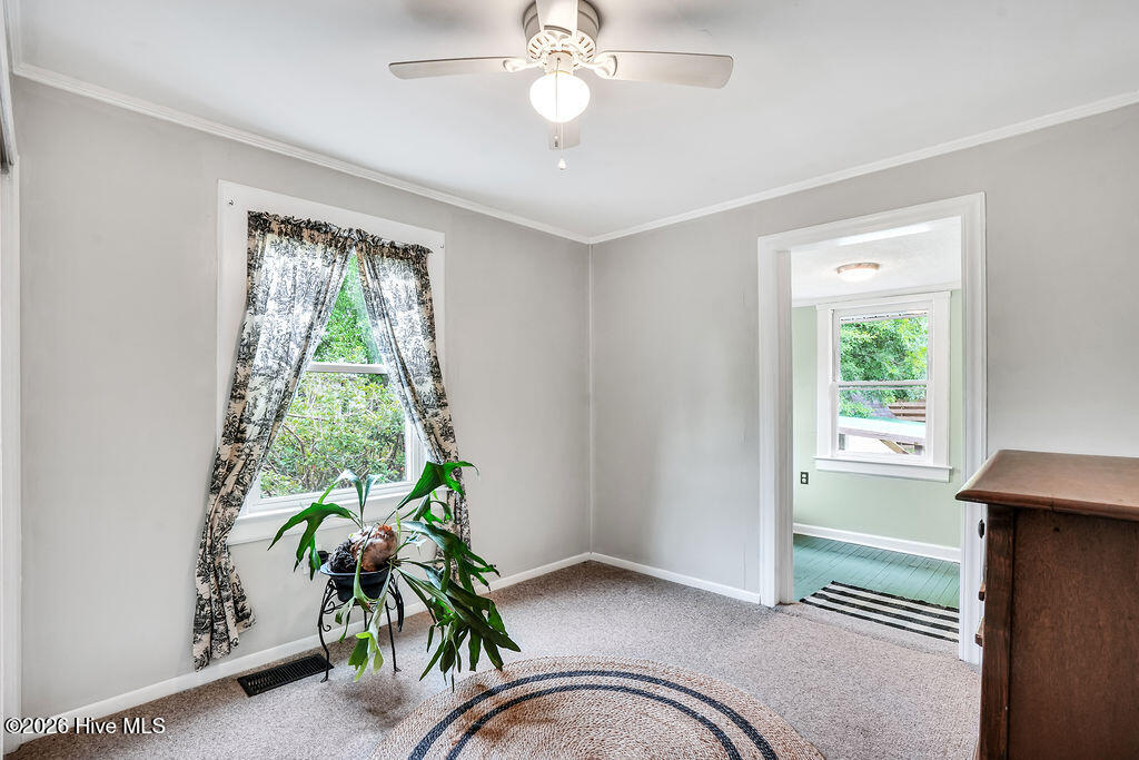 4809 Franklin Avenue Property Photo 19