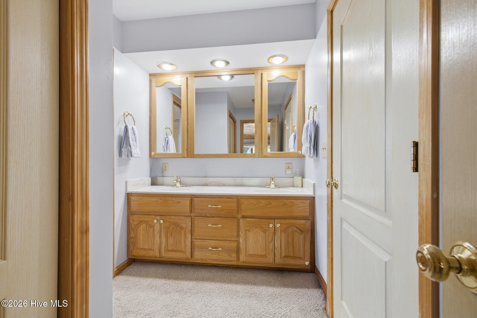820 Chimney Ridge Drive Property Photo 38
