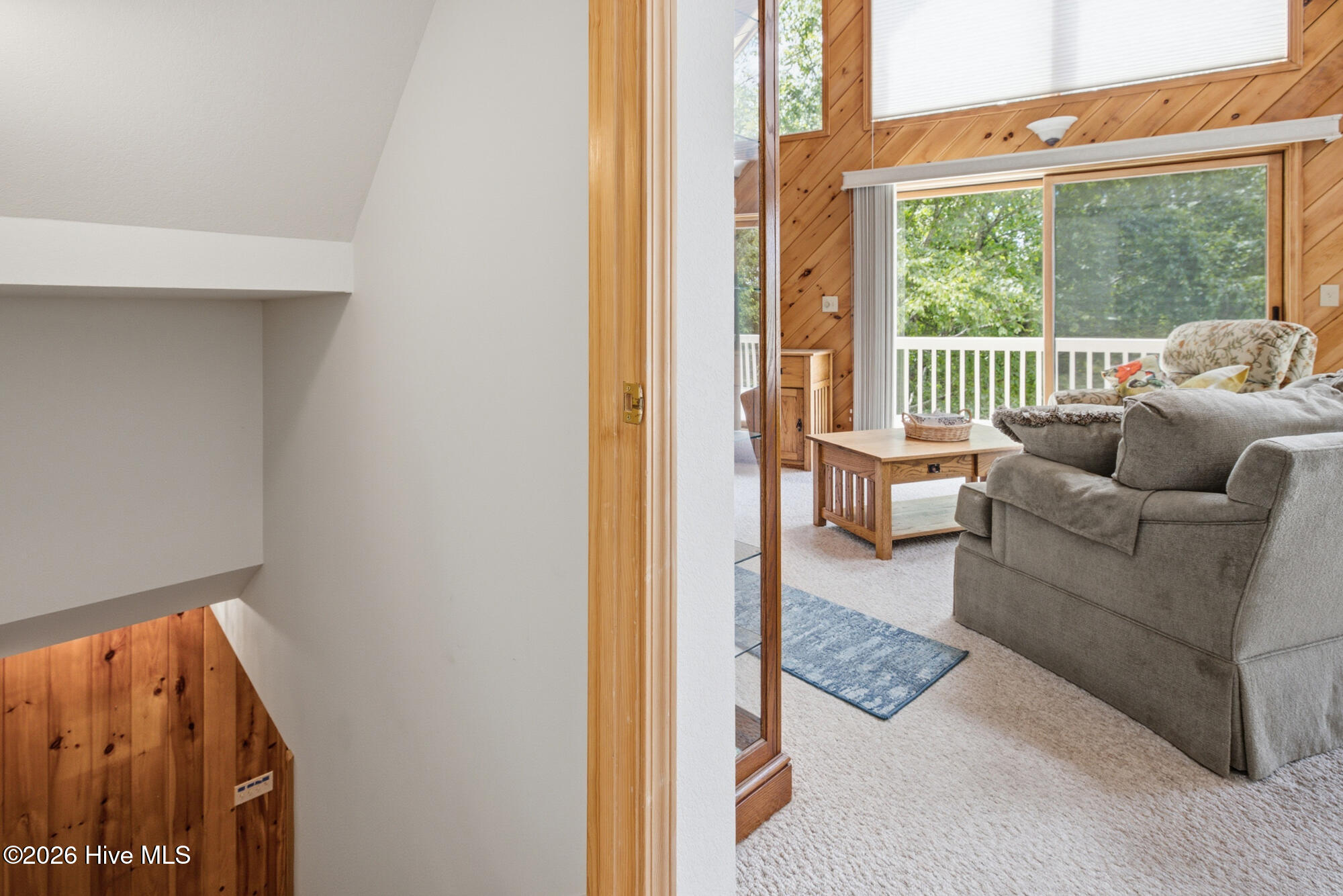 820 Chimney Ridge Drive Property Photo 43