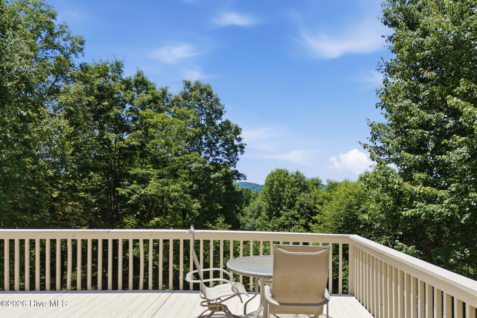 820 Chimney Ridge Drive Property Photo 53