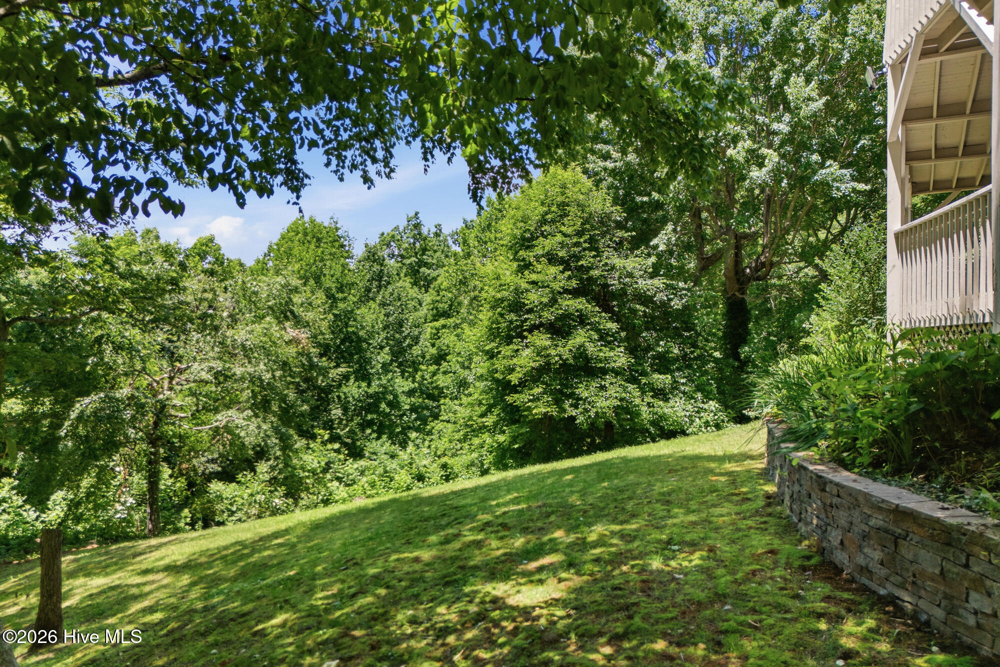820 Chimney Ridge Drive Property Photo 60