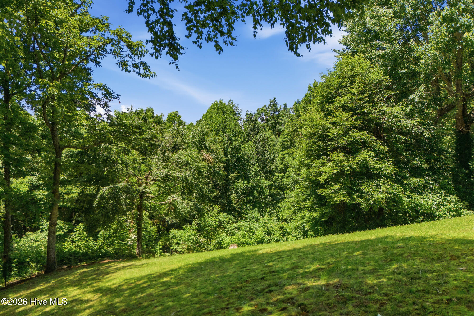 820 Chimney Ridge Drive Property Photo 61