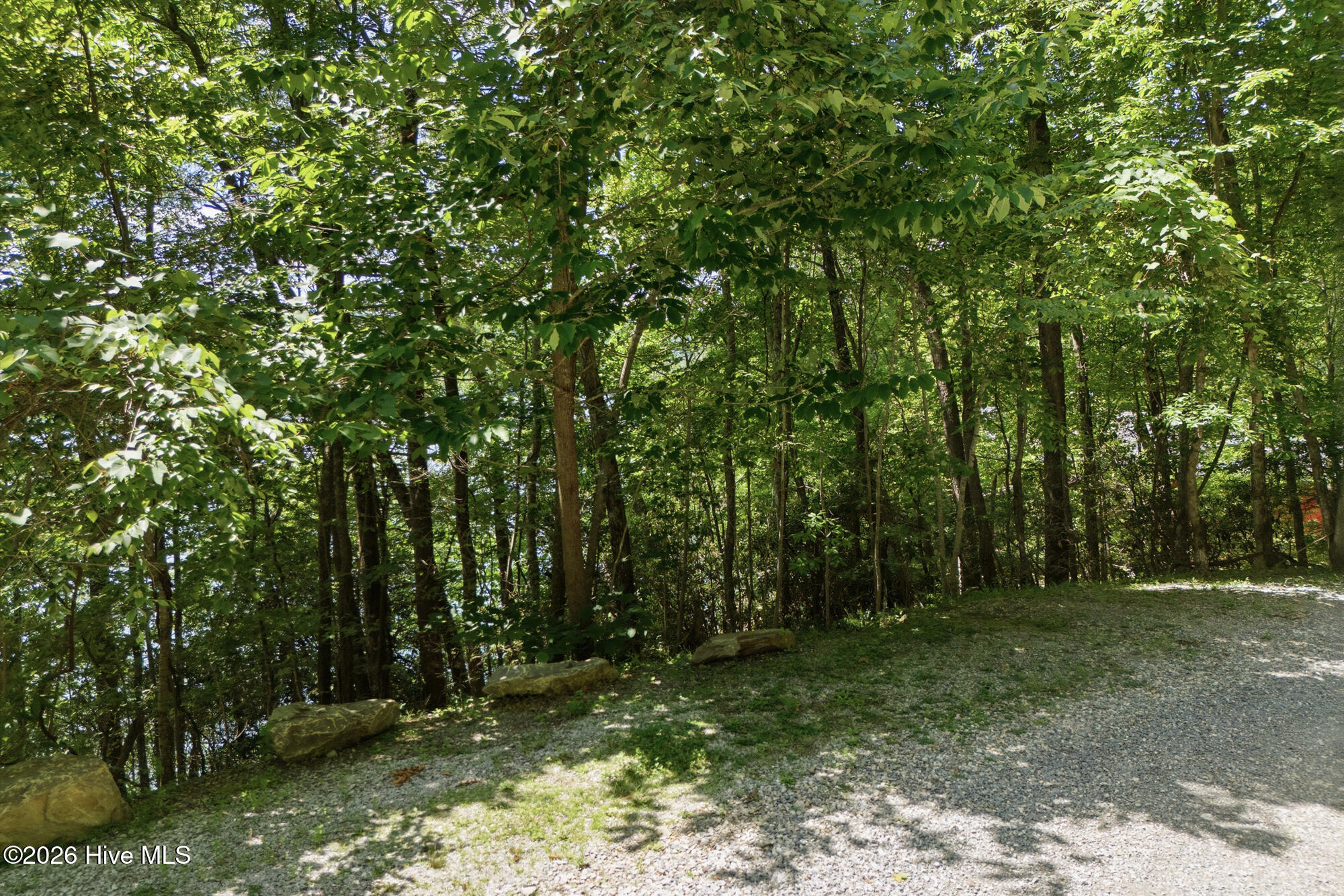 820 Chimney Ridge Drive Property Photo 62