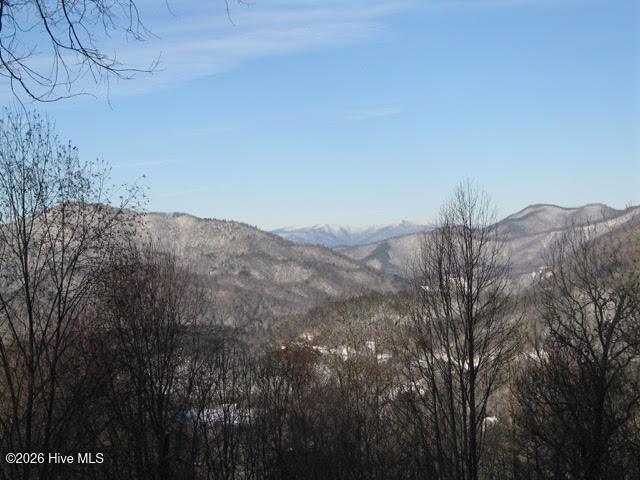 820 Chimney Ridge Drive Property Photo 70