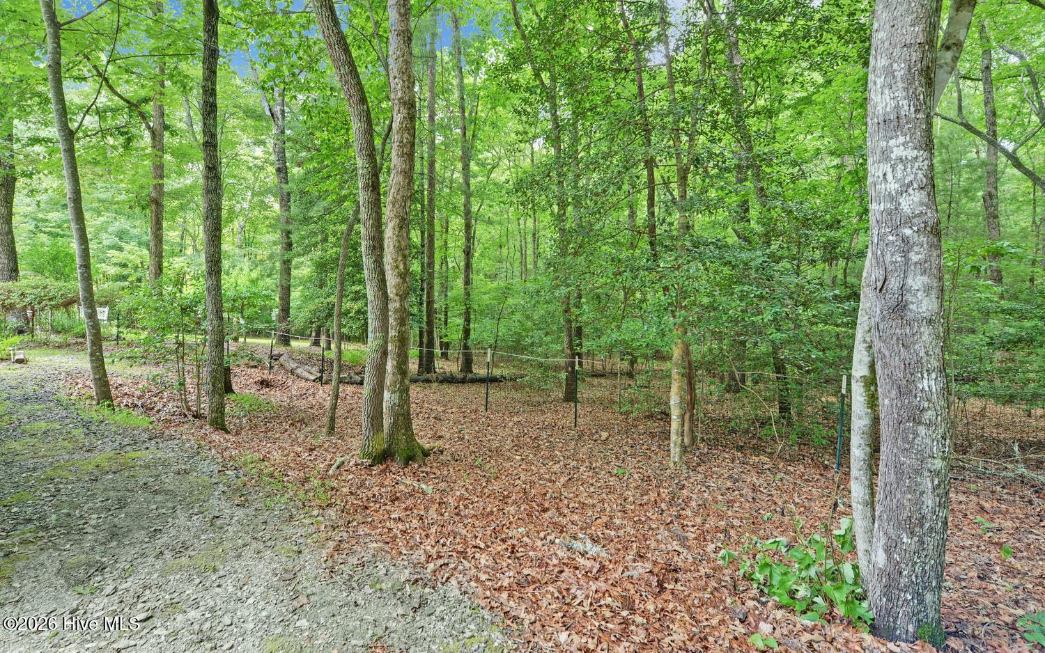 120 Covington Cove Property Photo 18