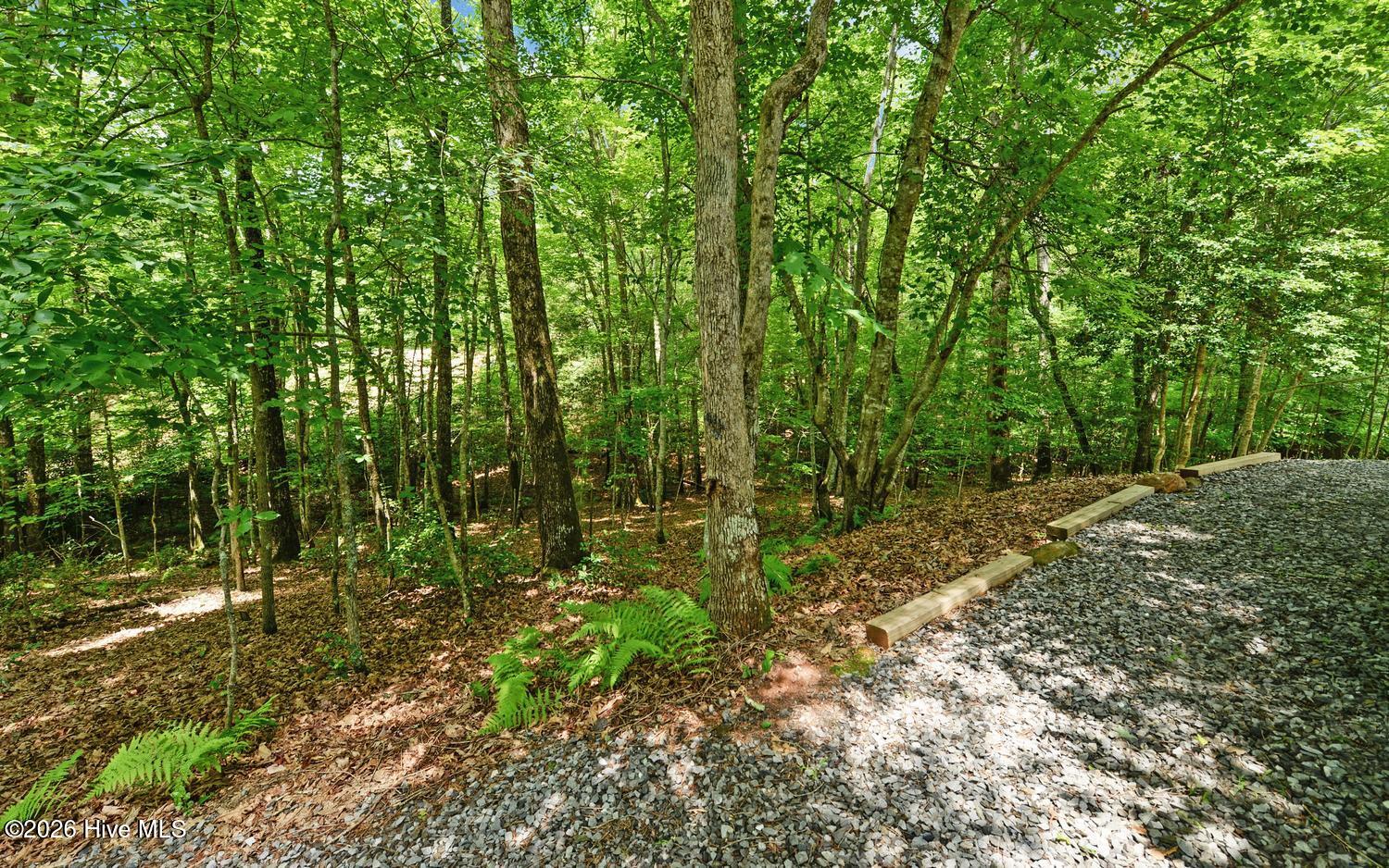 120 Covington Cove Property Photo 29