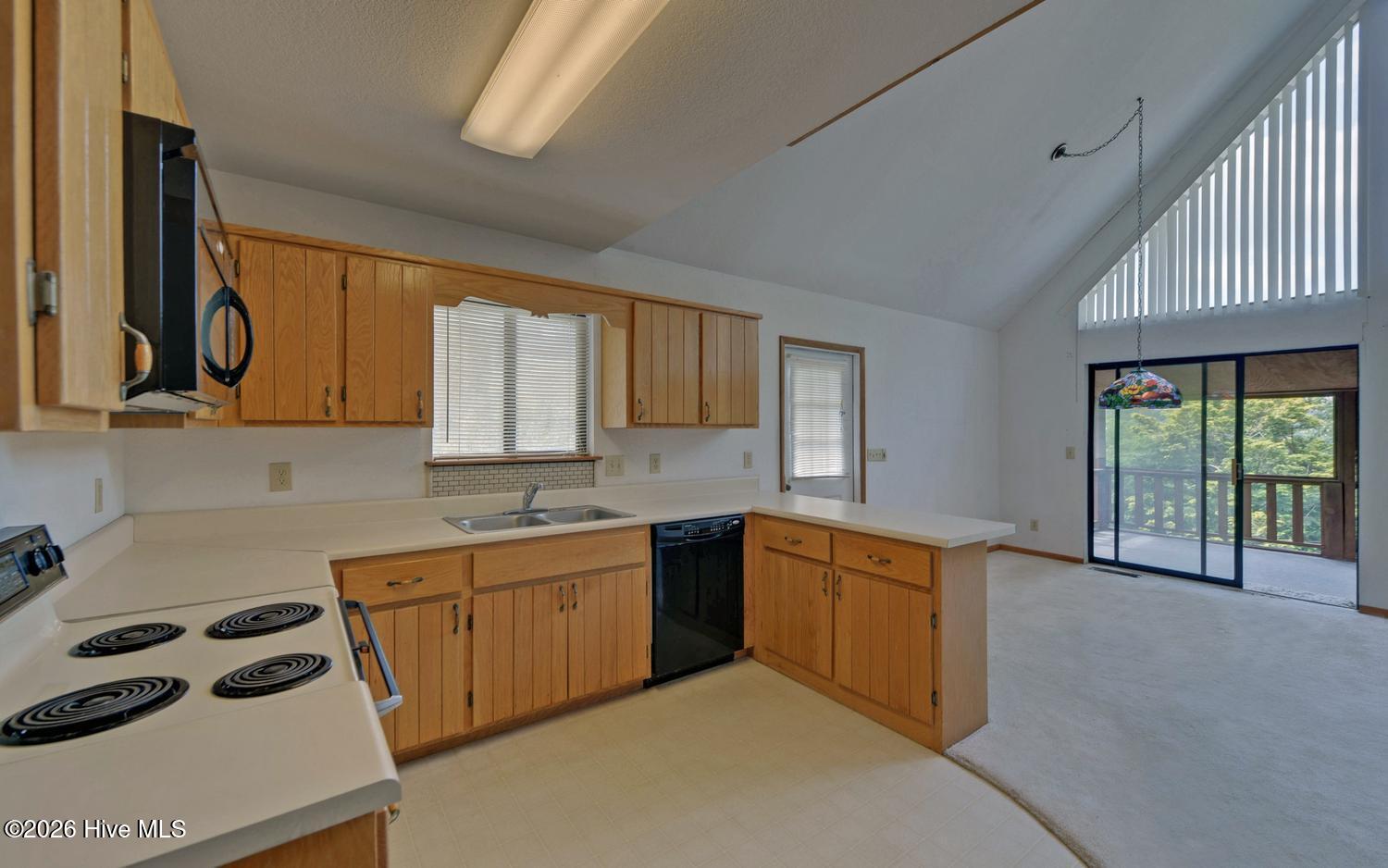 215 Black Bear Ridge Property Photo 9