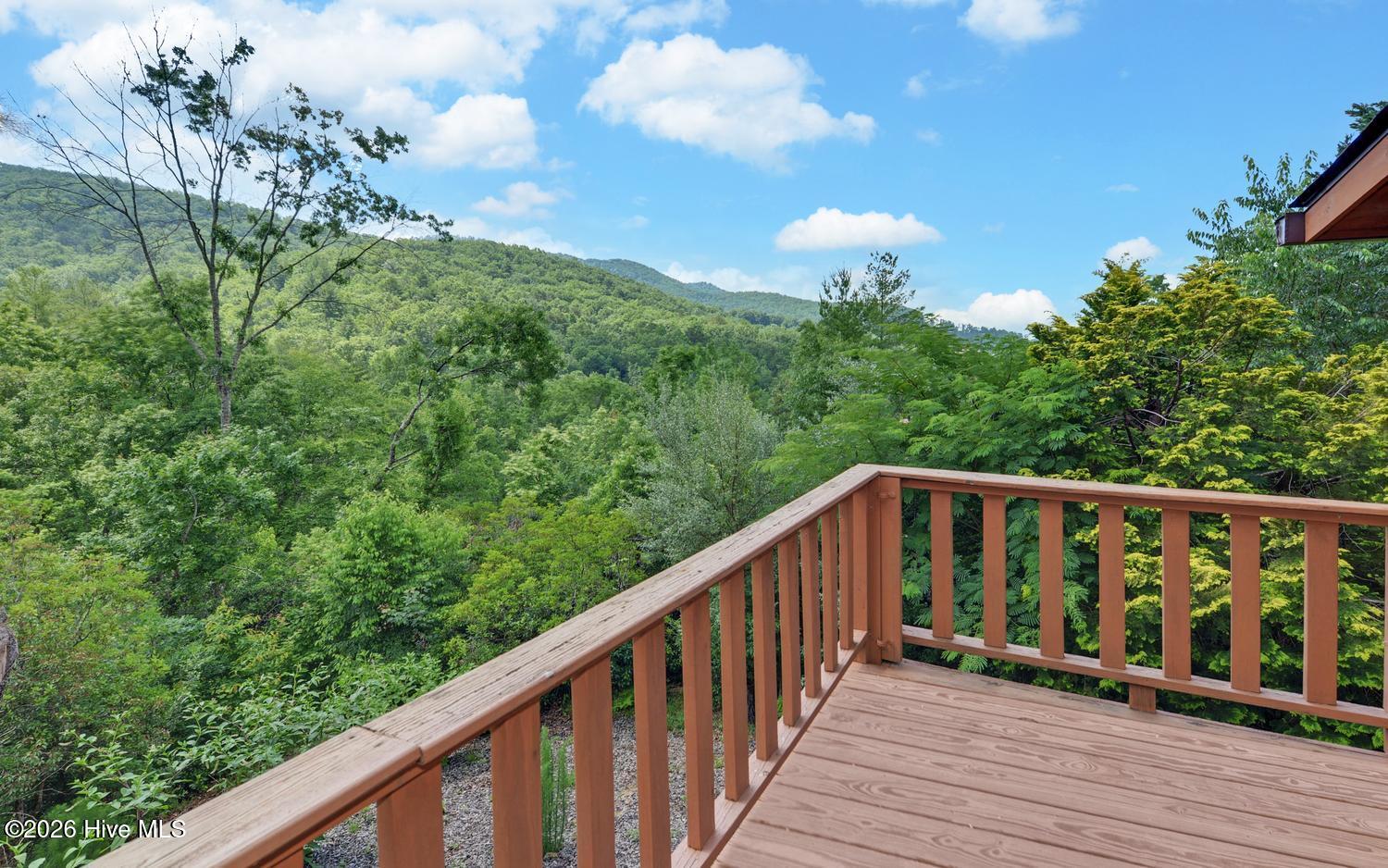 215 Black Bear Ridge Property Photo 31