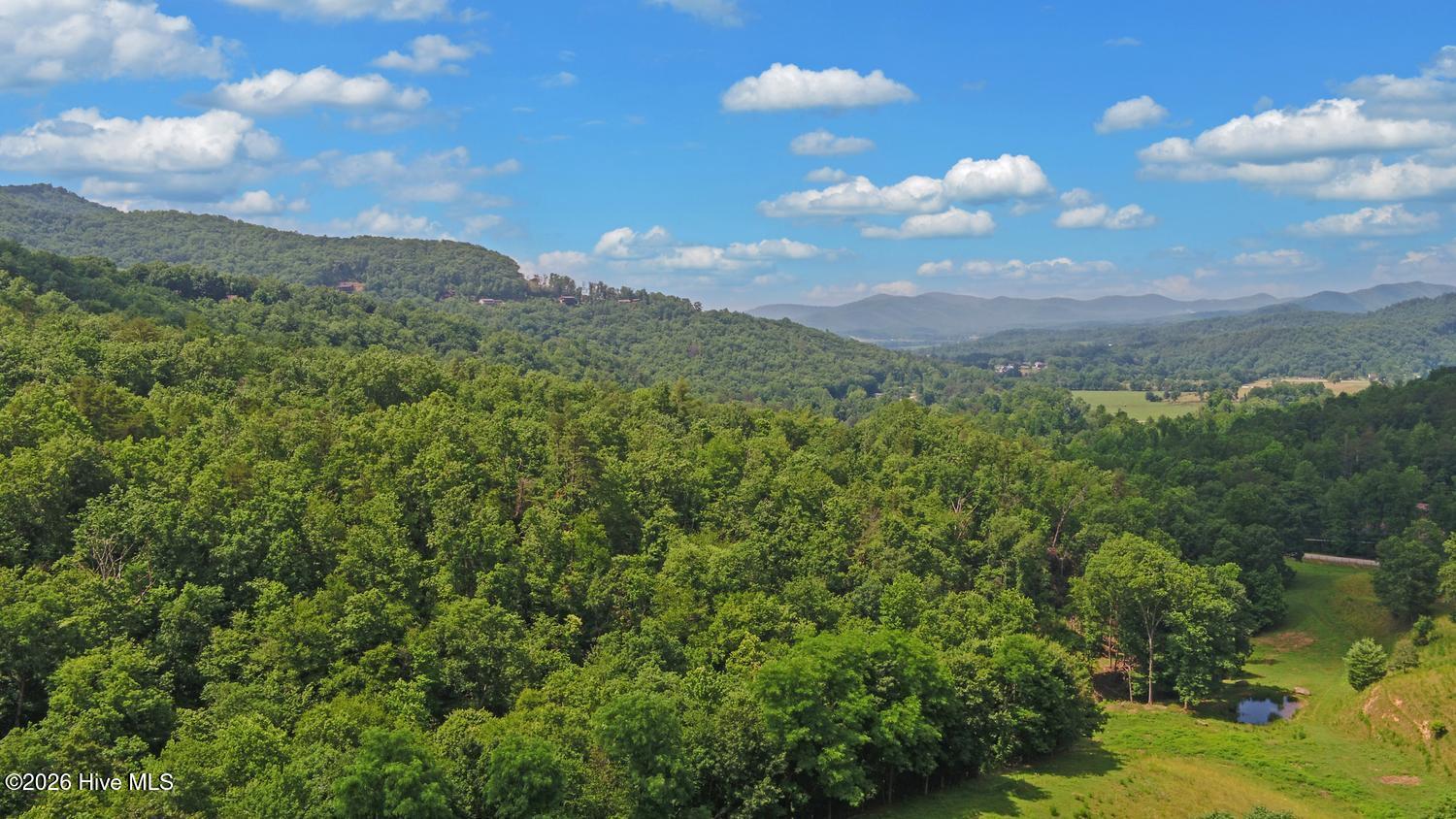 215 Black Bear Ridge Property Photo 37