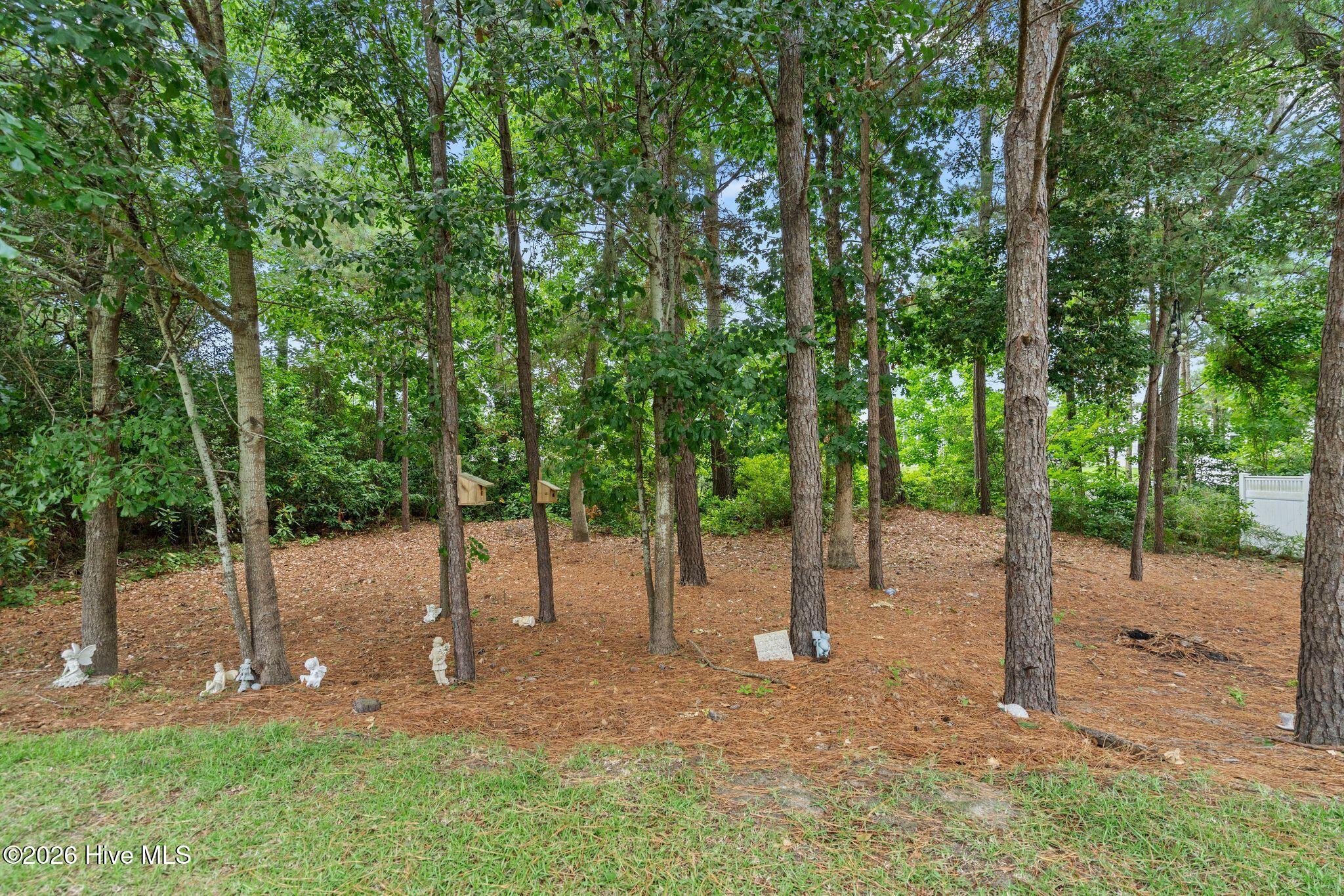 107 Whispering Pine Lane Property Photo 58