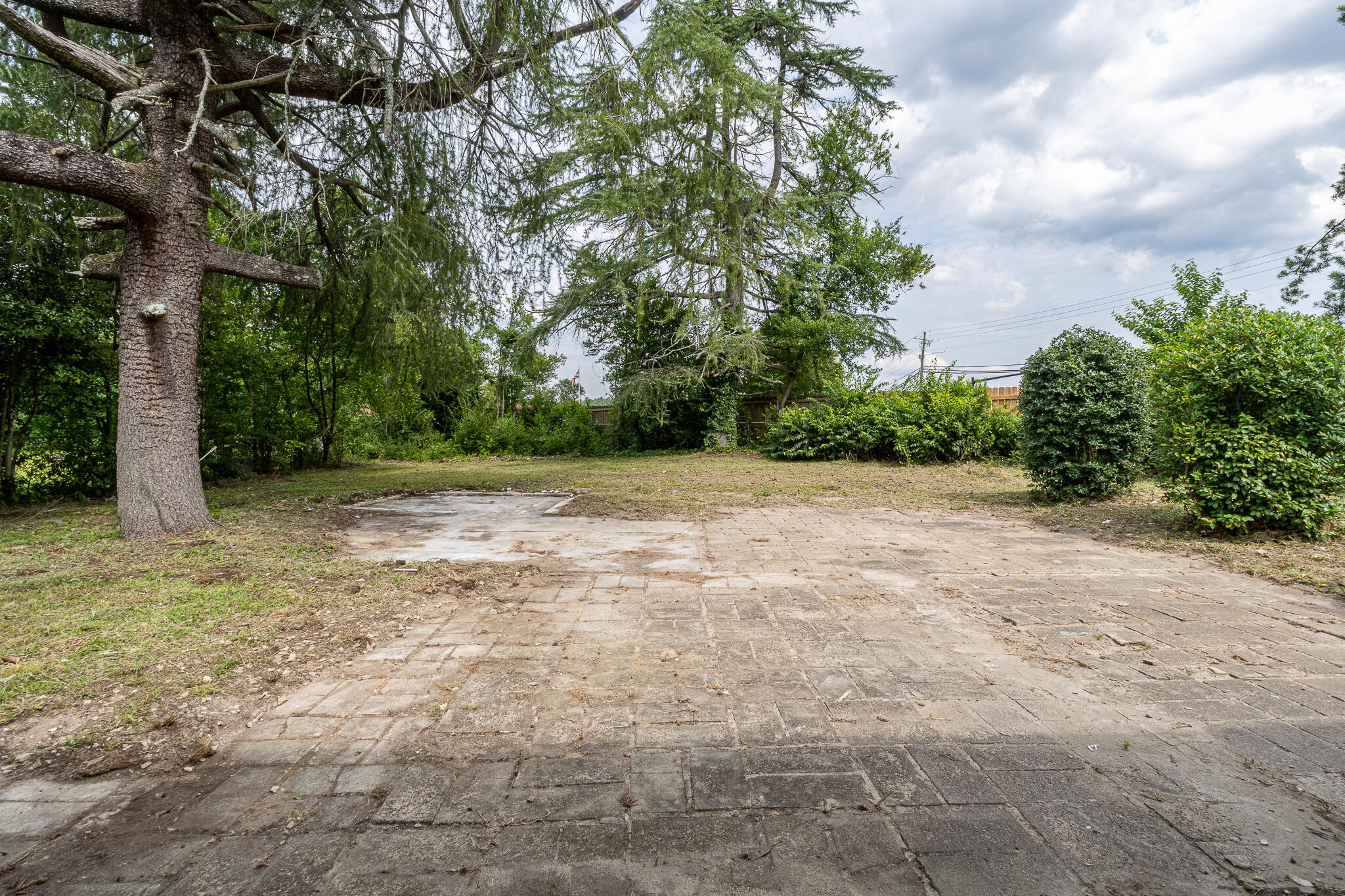 1426 Springview Drive Property Photo 22