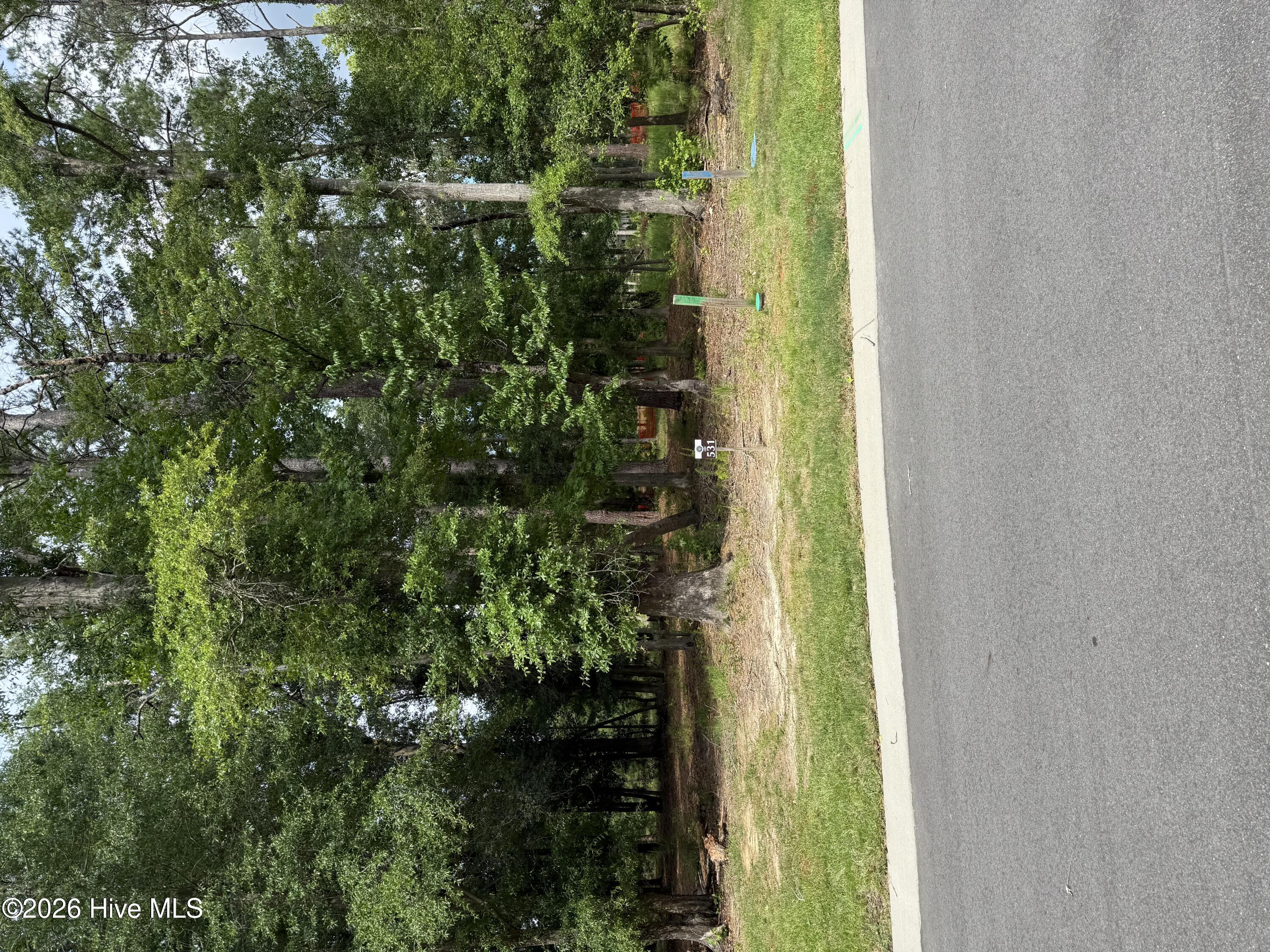 3698 531 Excelsior Lane Property Photo 2
