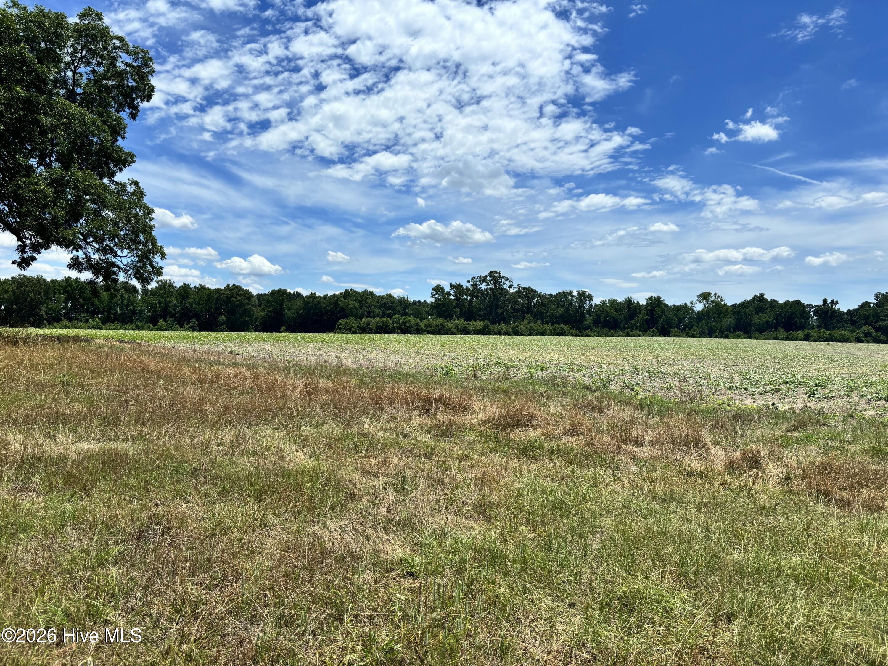 0 Rabbit Hollow Road Property Photo 1