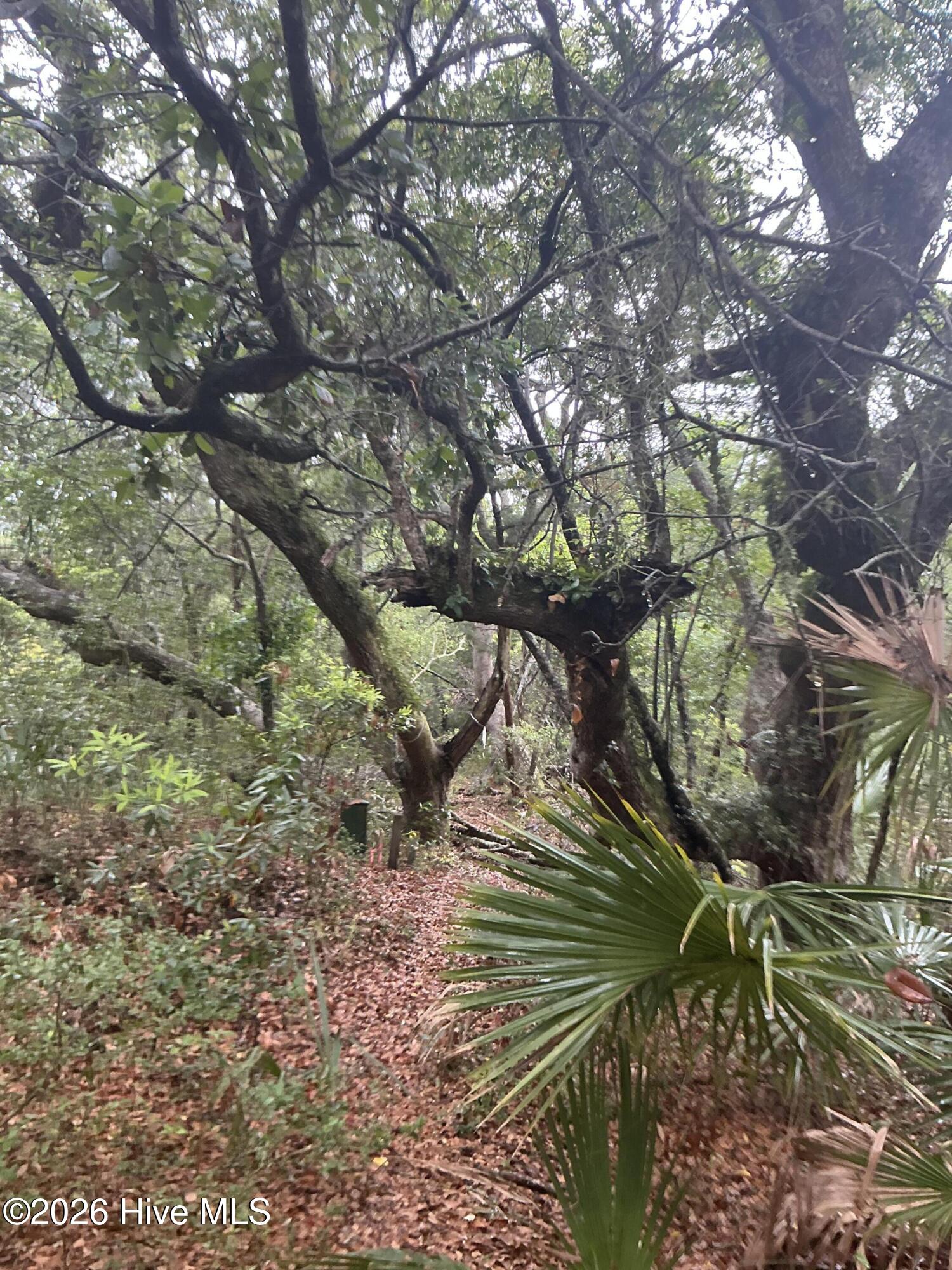 8 18 Leopard Frog Court Property Photo 6
