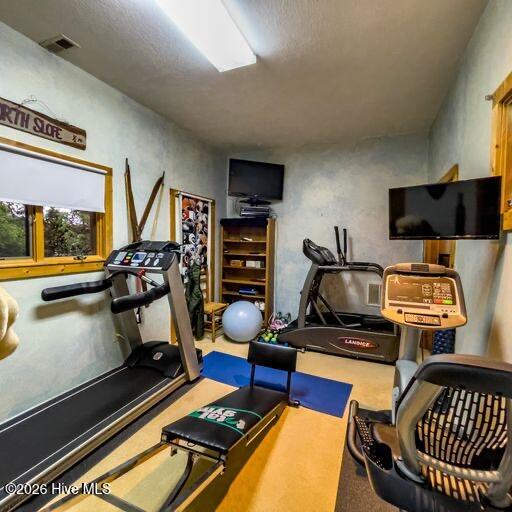 496 Holloway Road Property Photo 23