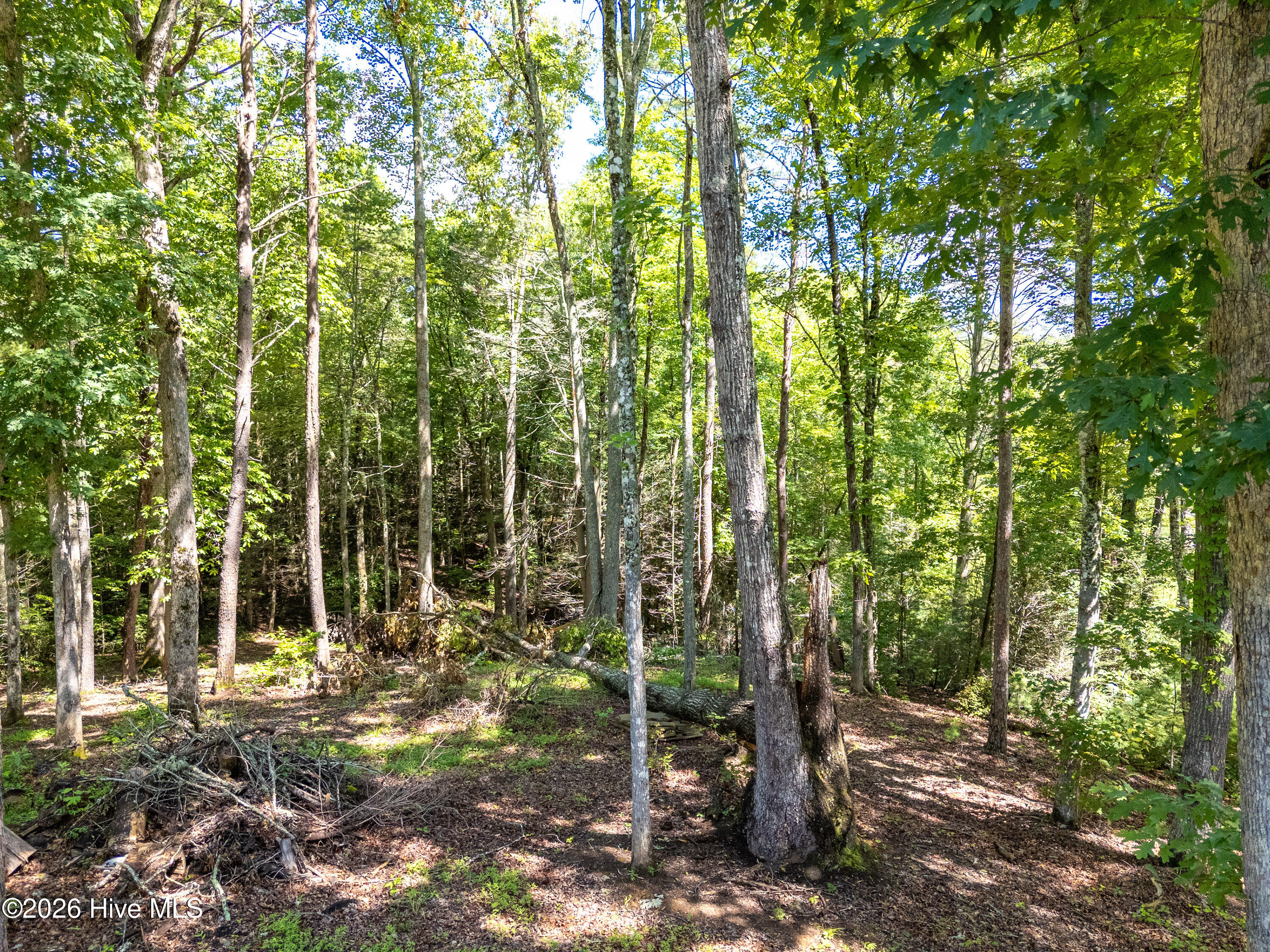 1198 Nature Valley Trail Property Photo 48