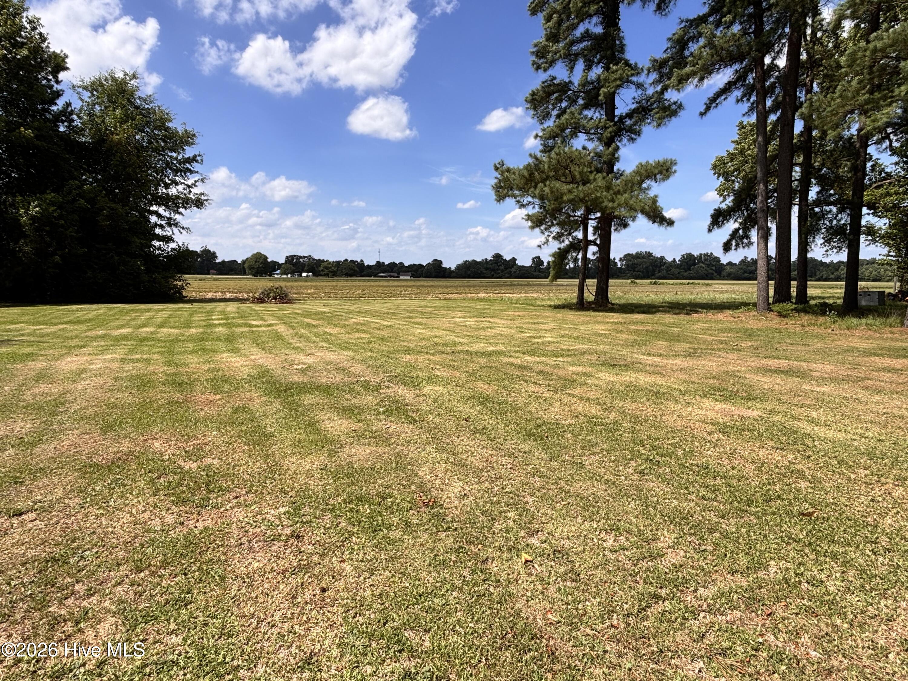 735 Faison Highway Property Photo 22