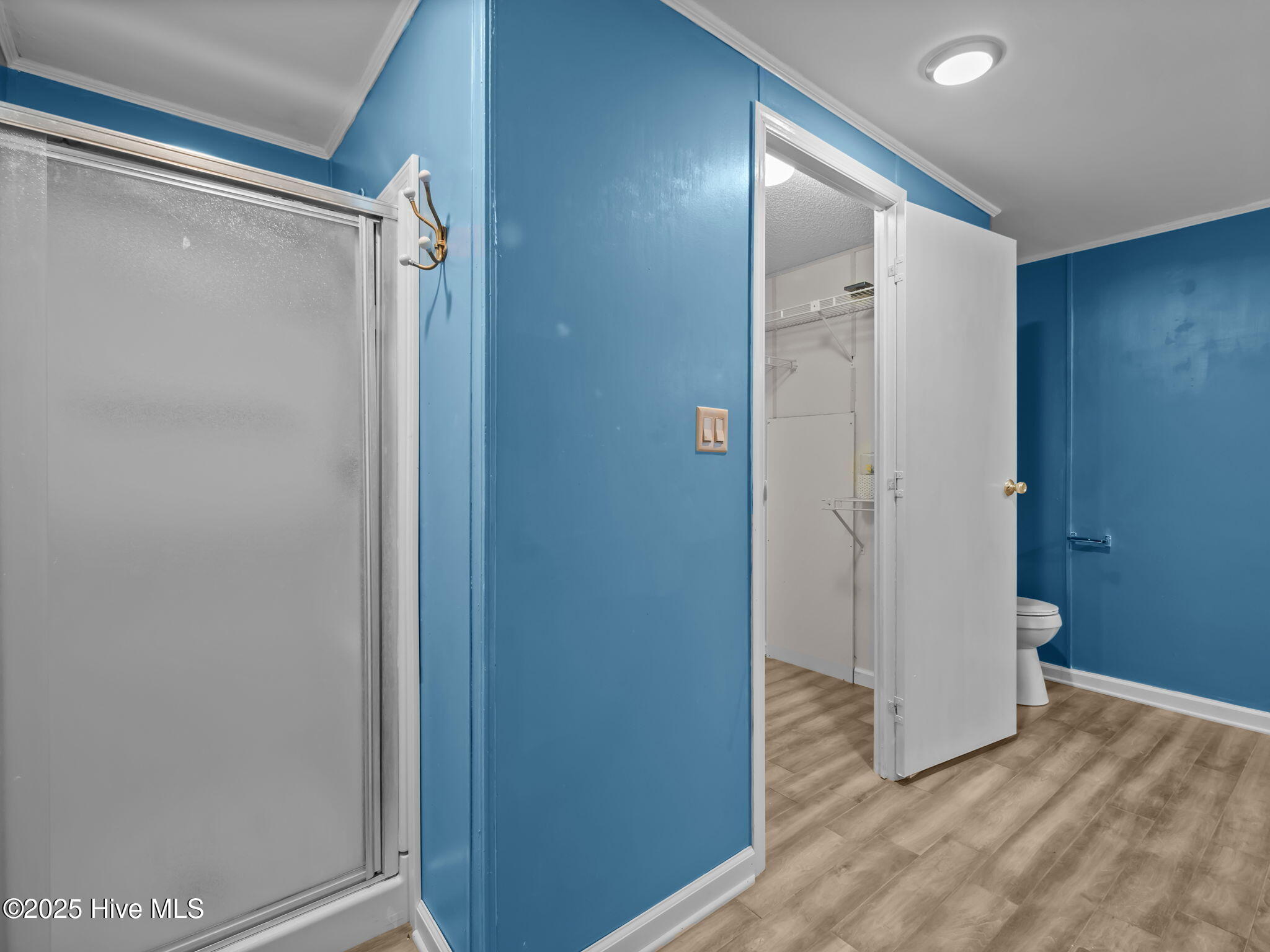 135 Bogue Forest Drive Property Photo 28