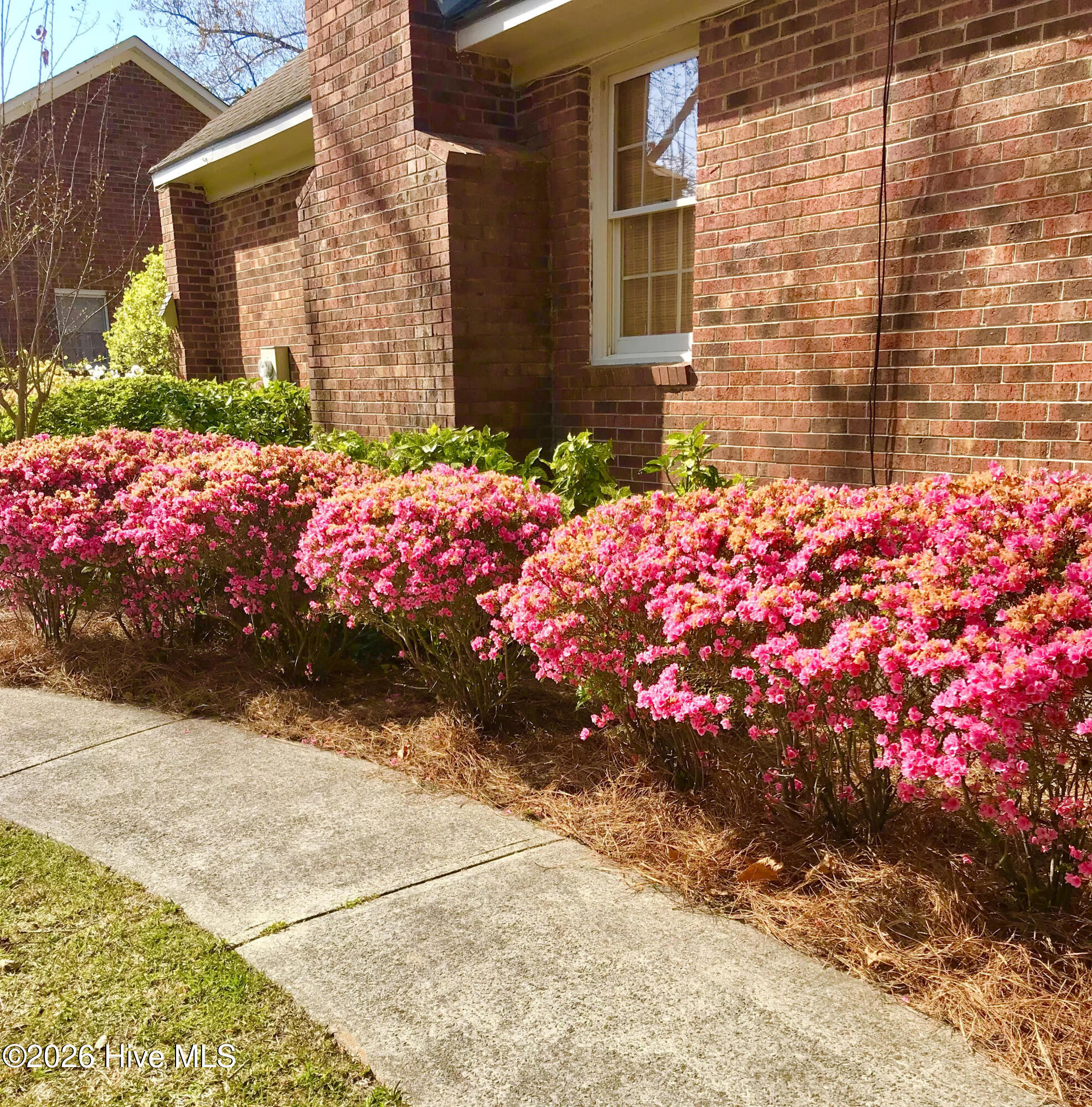 3615 Fox Chase Road Property Photo 64