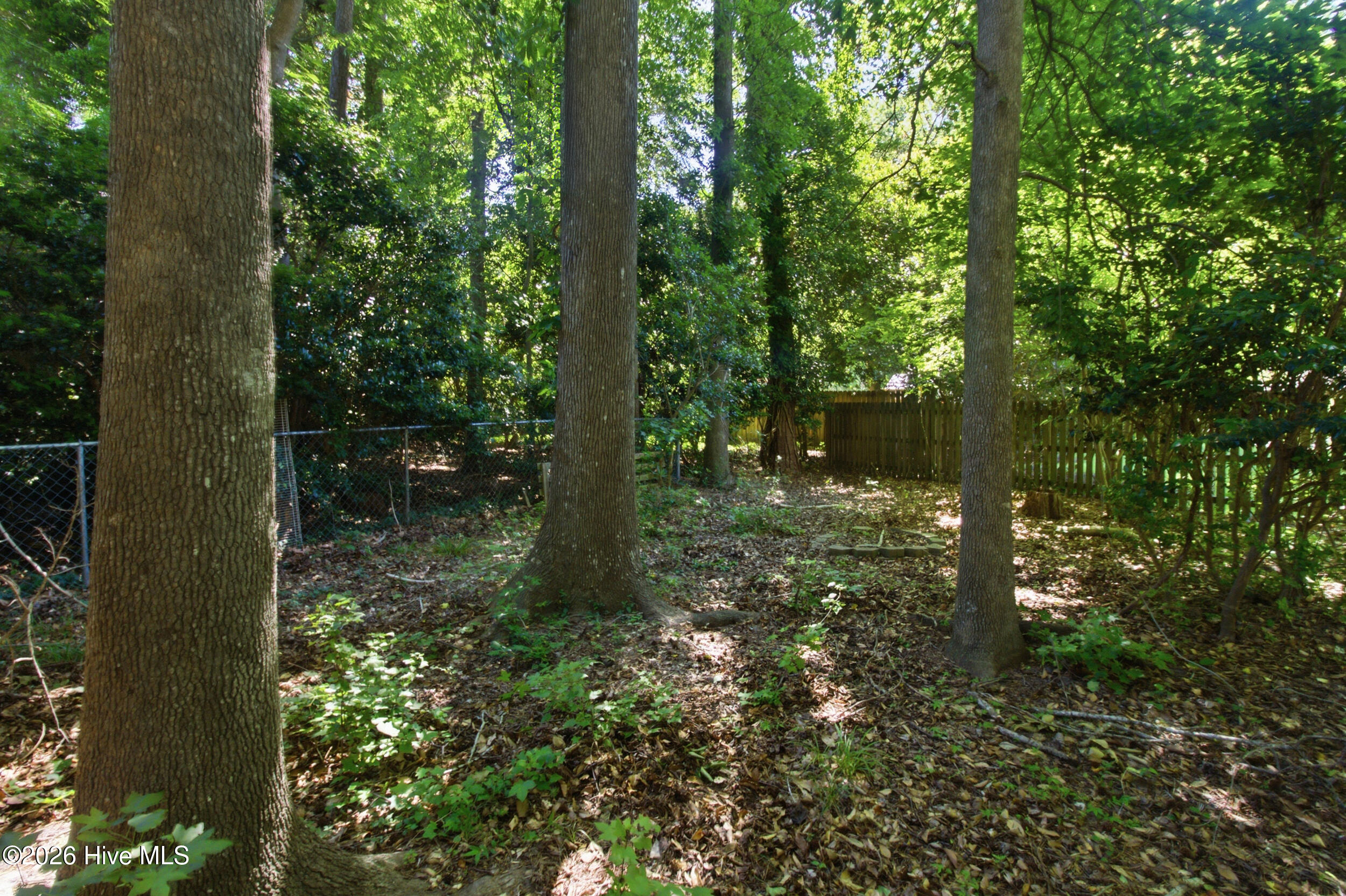 101 Hughes Lane Property Photo 49