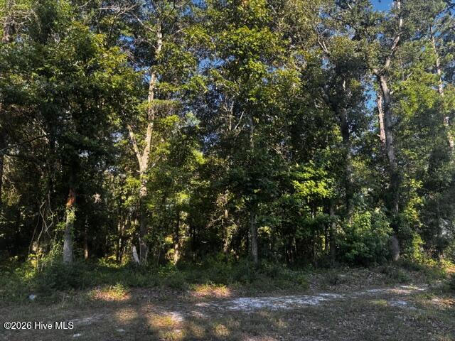 2425 Tract 1 Sunset Harbor Road SE Property Photo 1