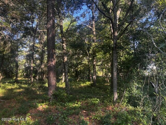 2425 Tract 1 Sunset Harbor Road Se Property Photo 3