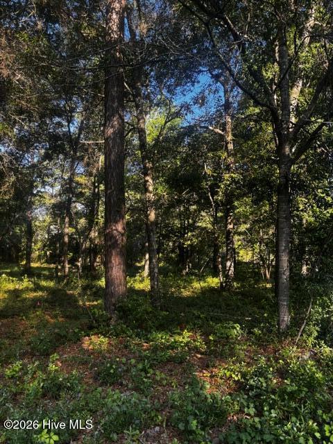 2425 Tract 1 Sunset Harbor Road Se Property Photo 5