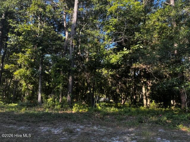 2408 Tract 2 Zion Hill Rd Road SE Property Photo 1