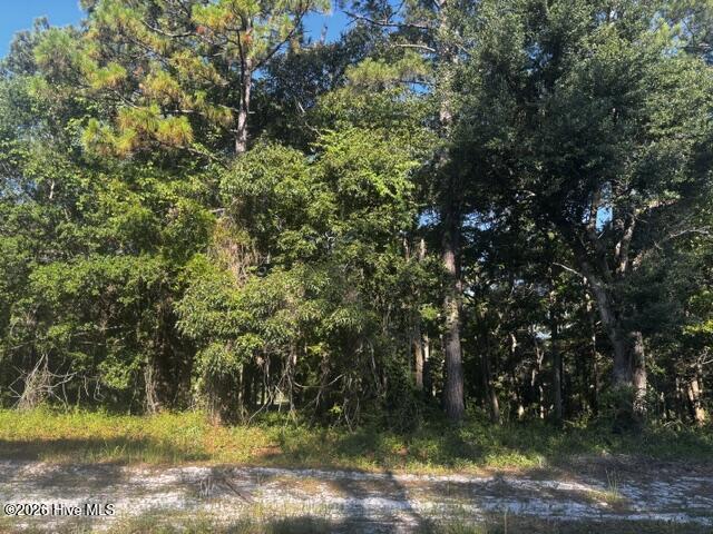 2408 Tract 2 Zion Hill Rd Road Se Property Photo 3